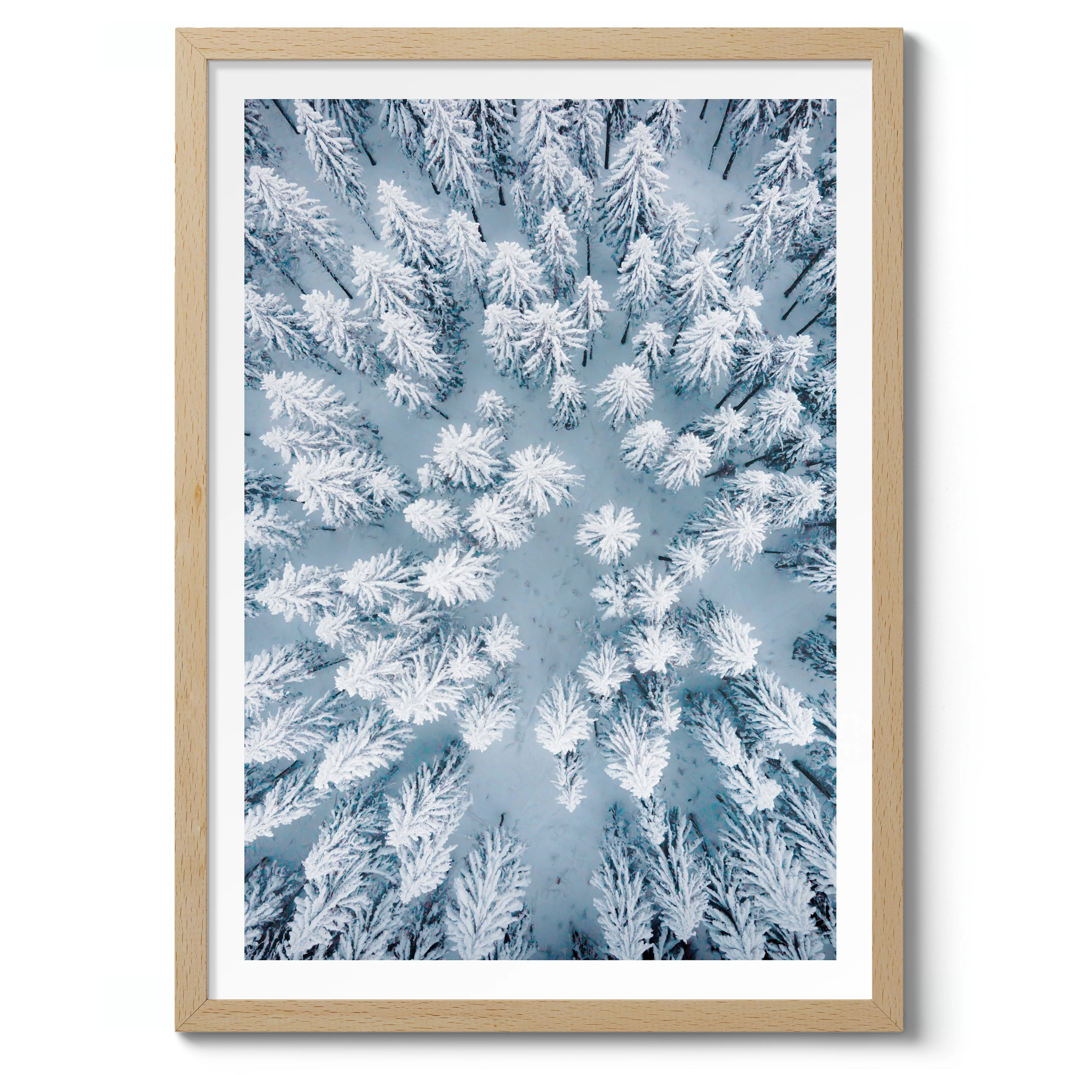 Snowy Treetops - Image 3