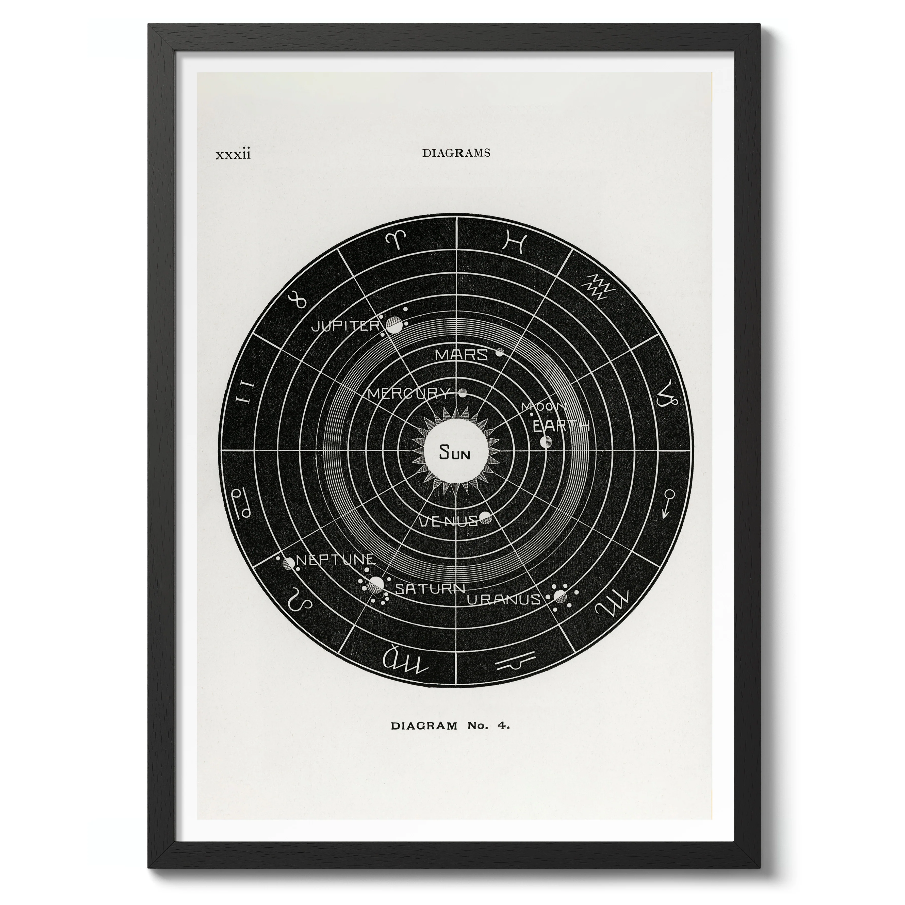 Solar Biology - Image 2