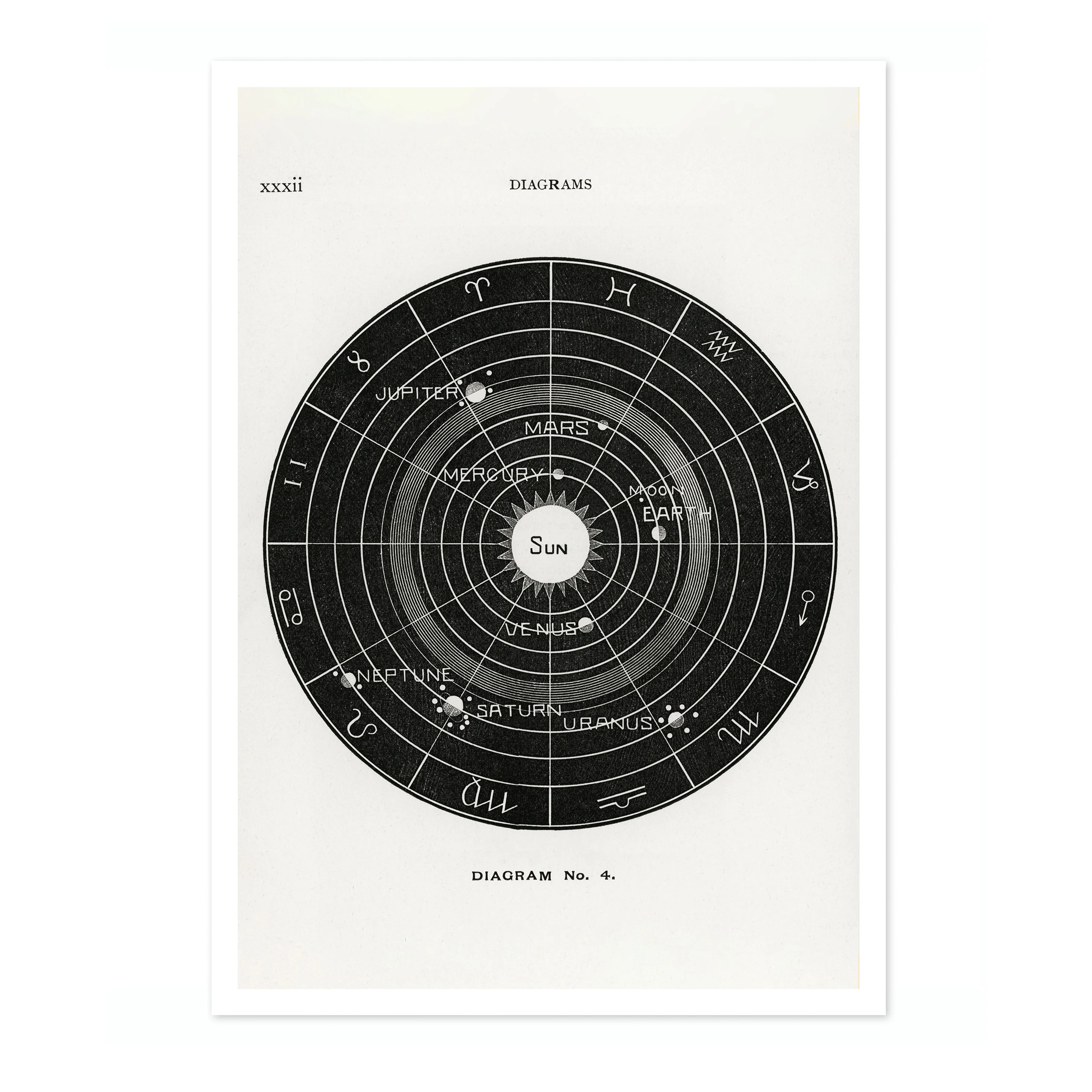 Solar Biology - Image 4