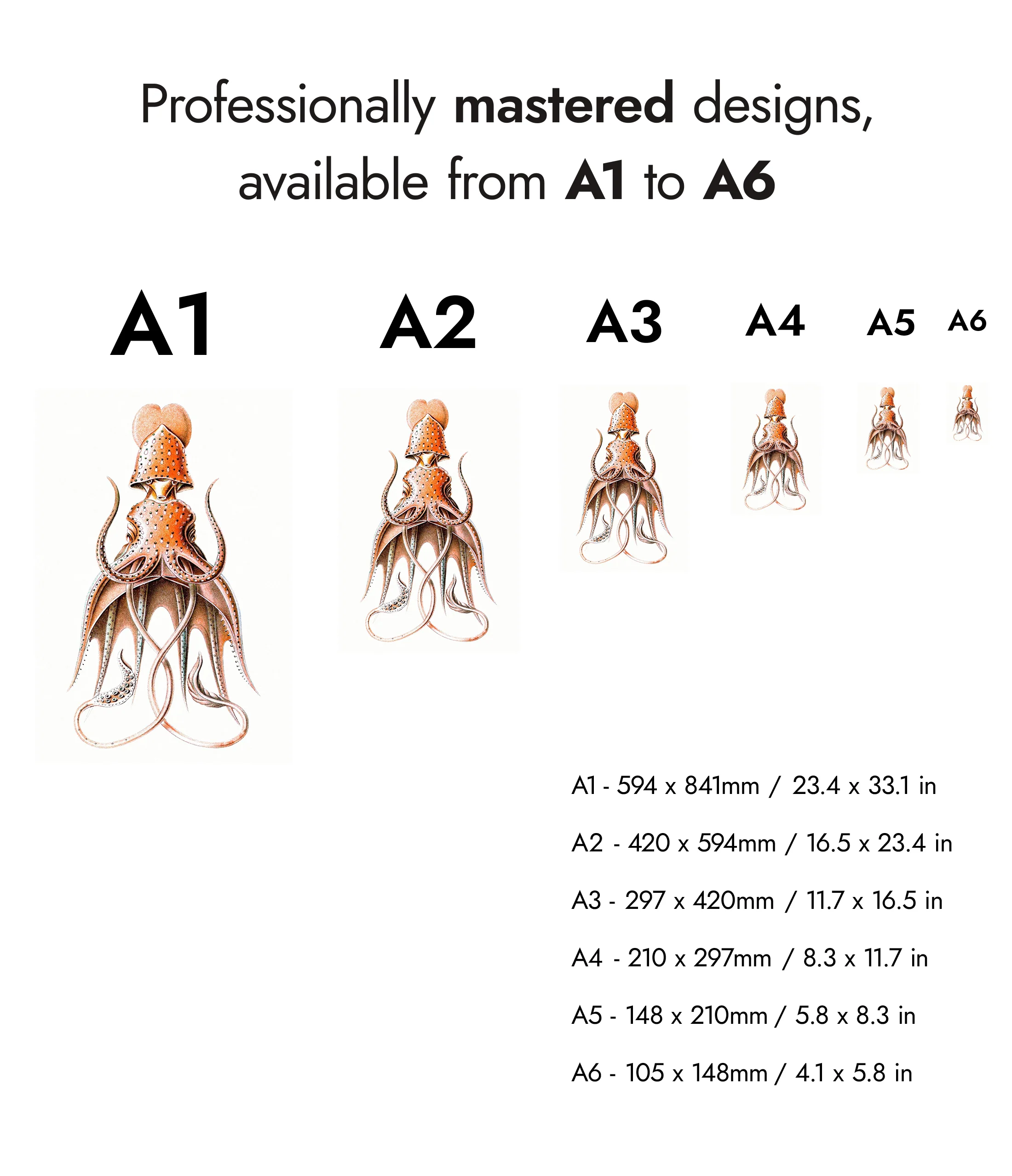 Squid - Image 8
