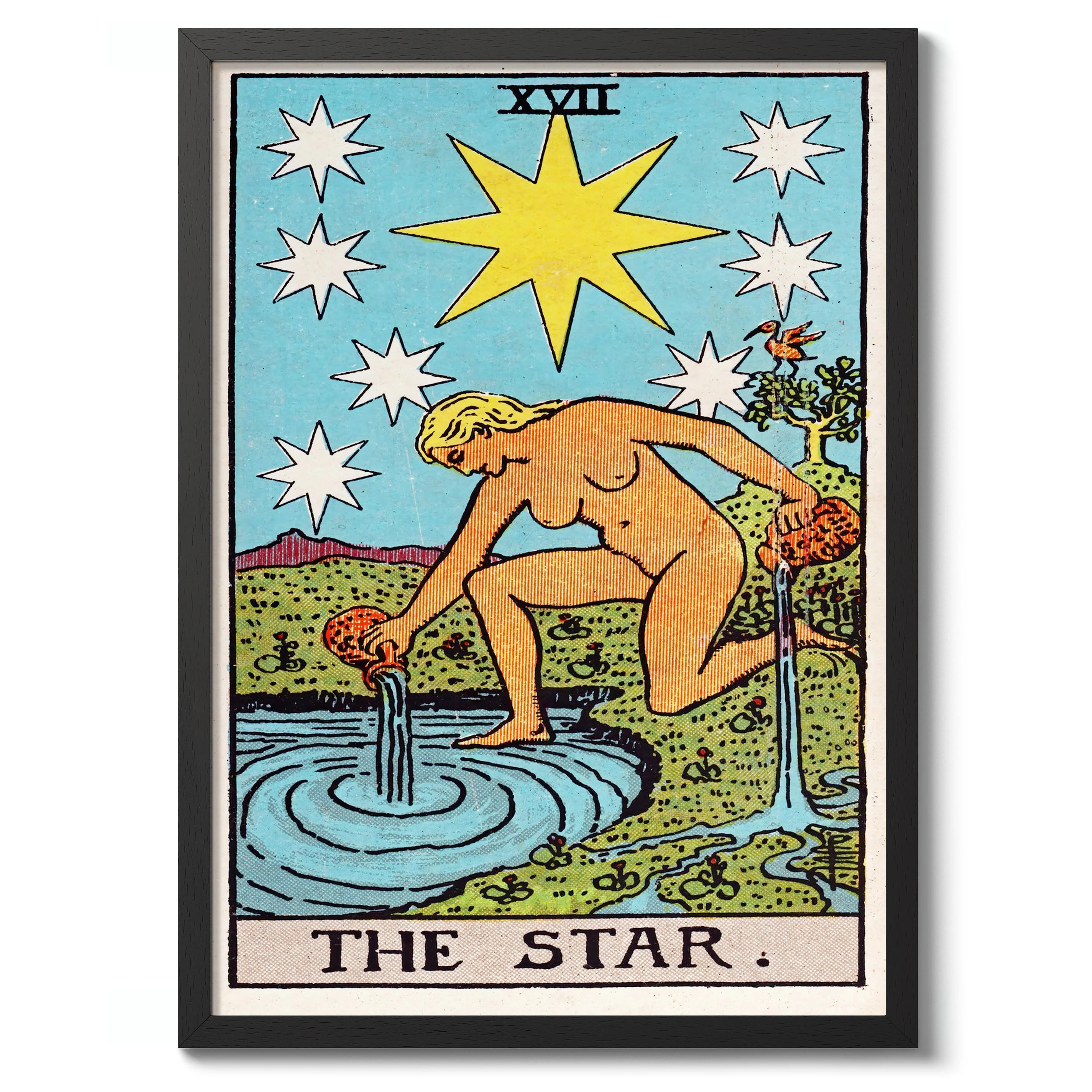 Star - Image 2