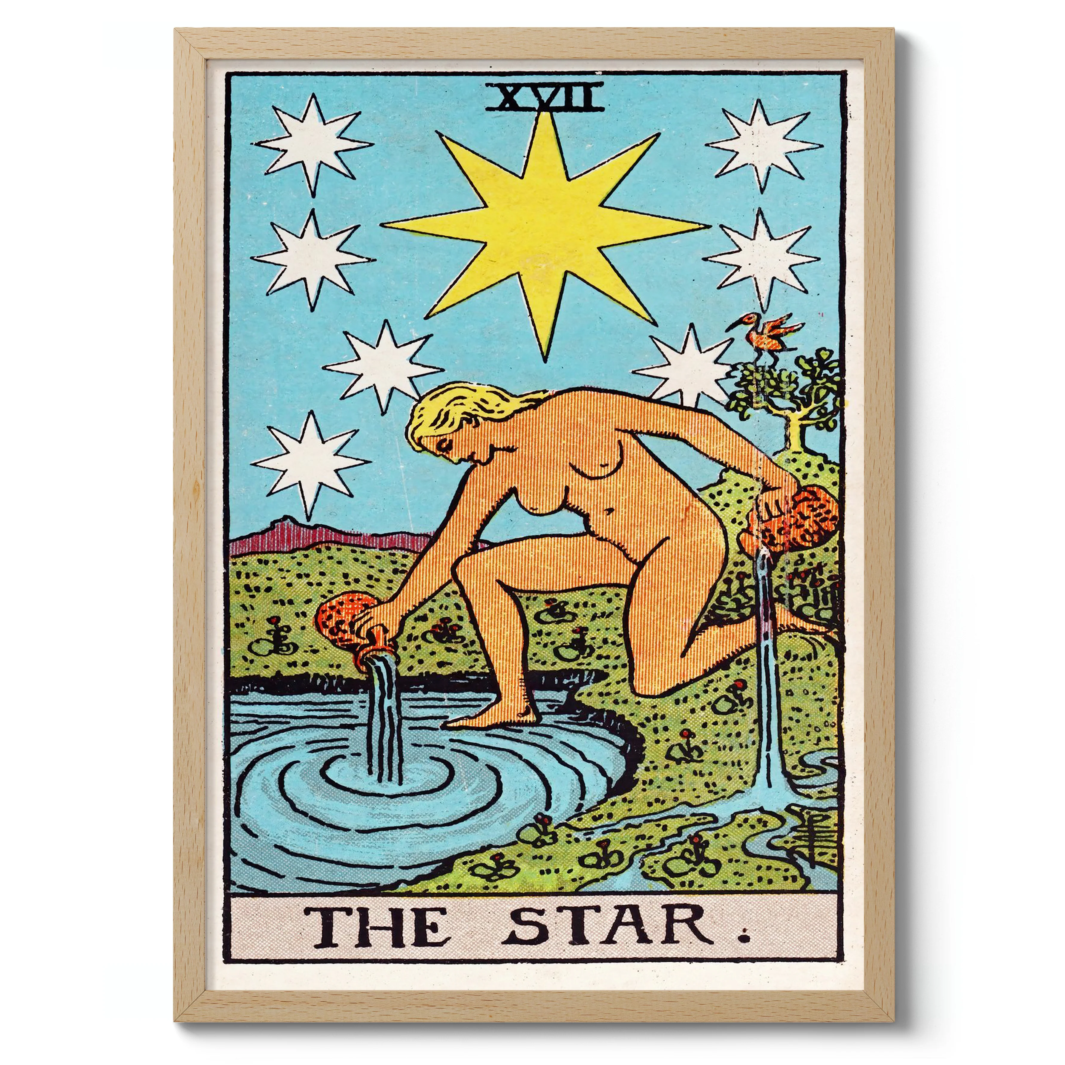 Star - Image 3