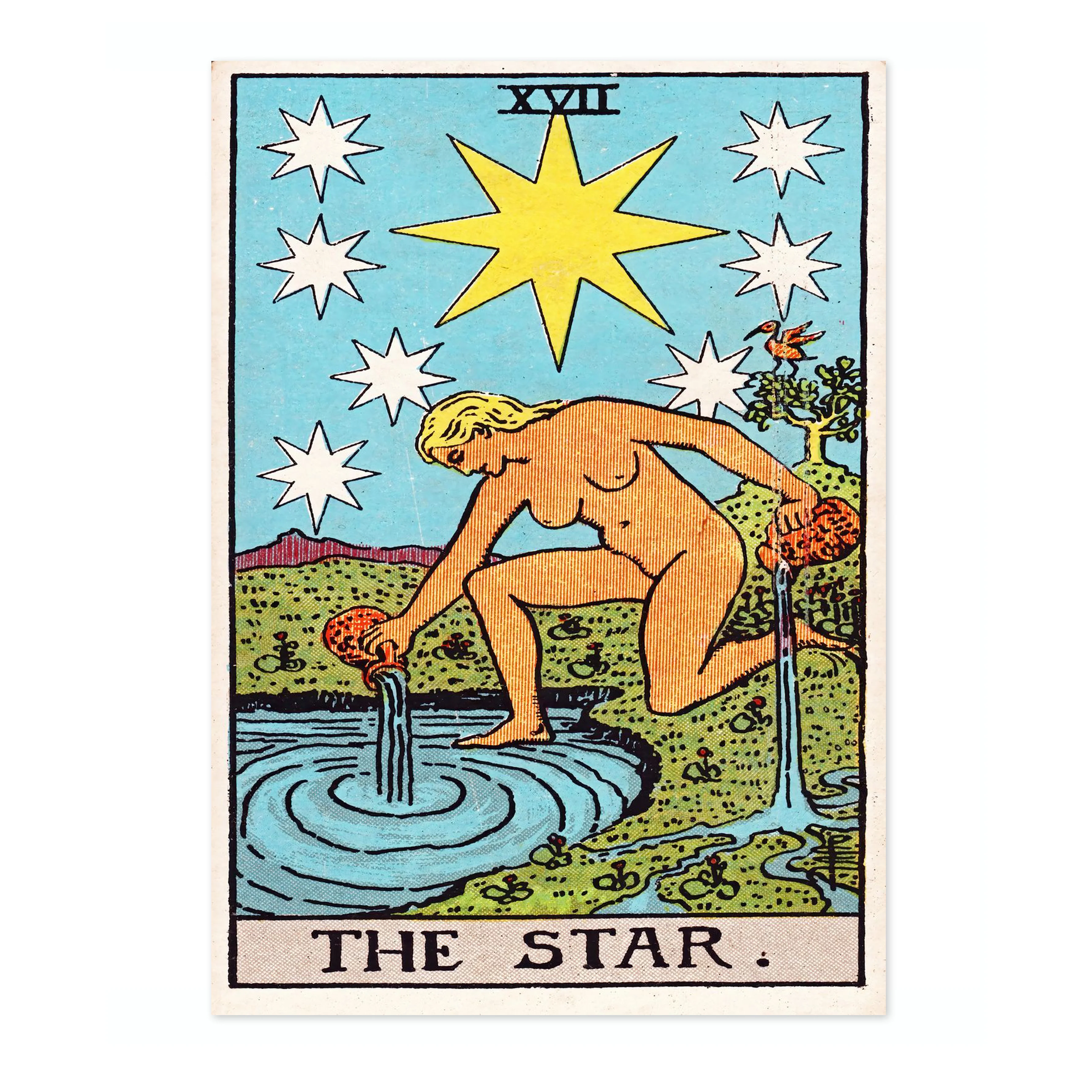 Star - Image 4