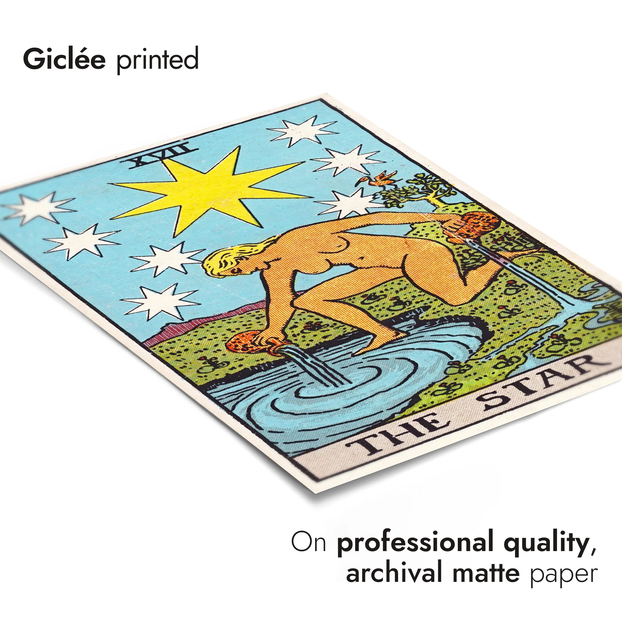 Star - Image 6