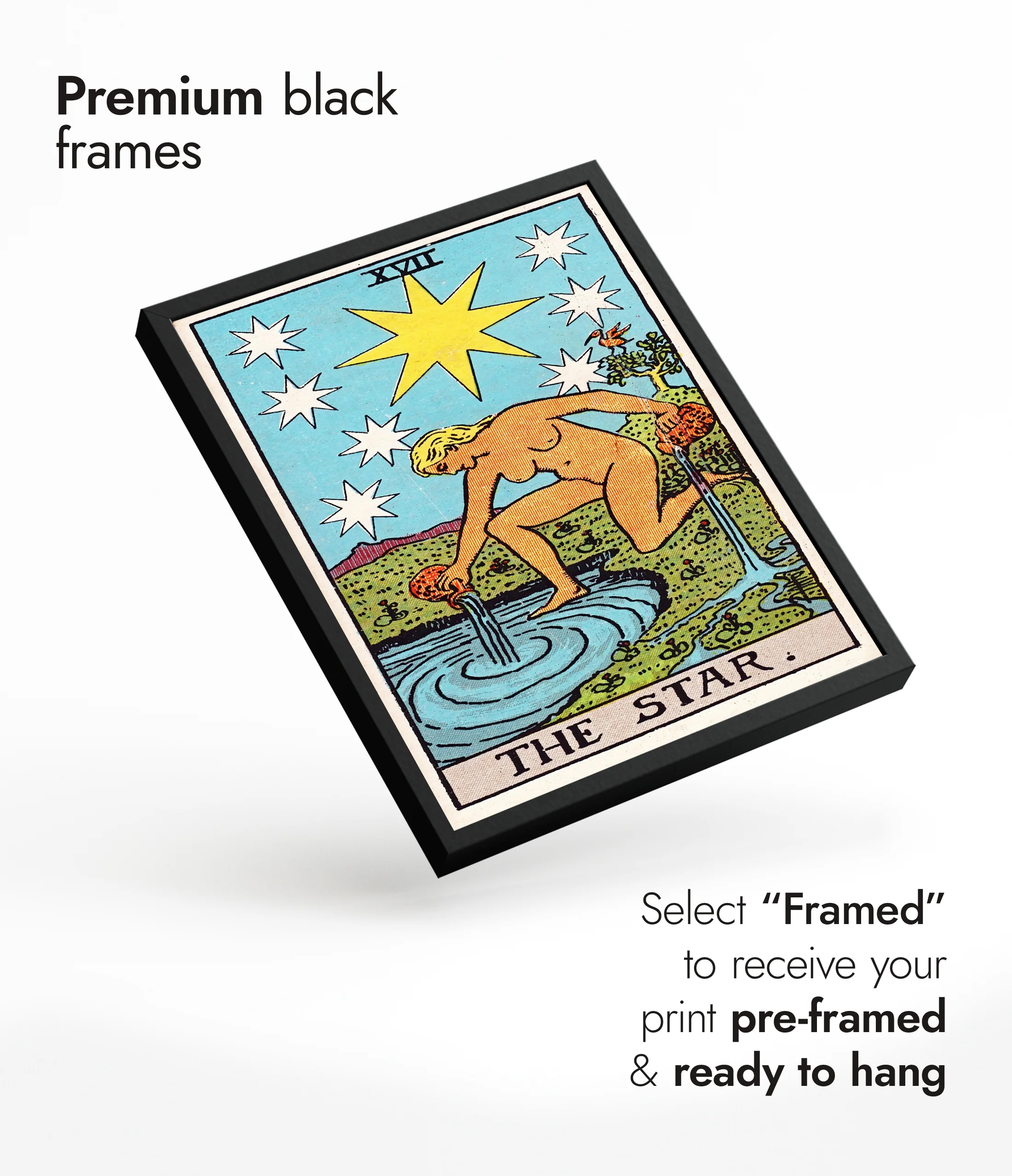 Star - Image 7
