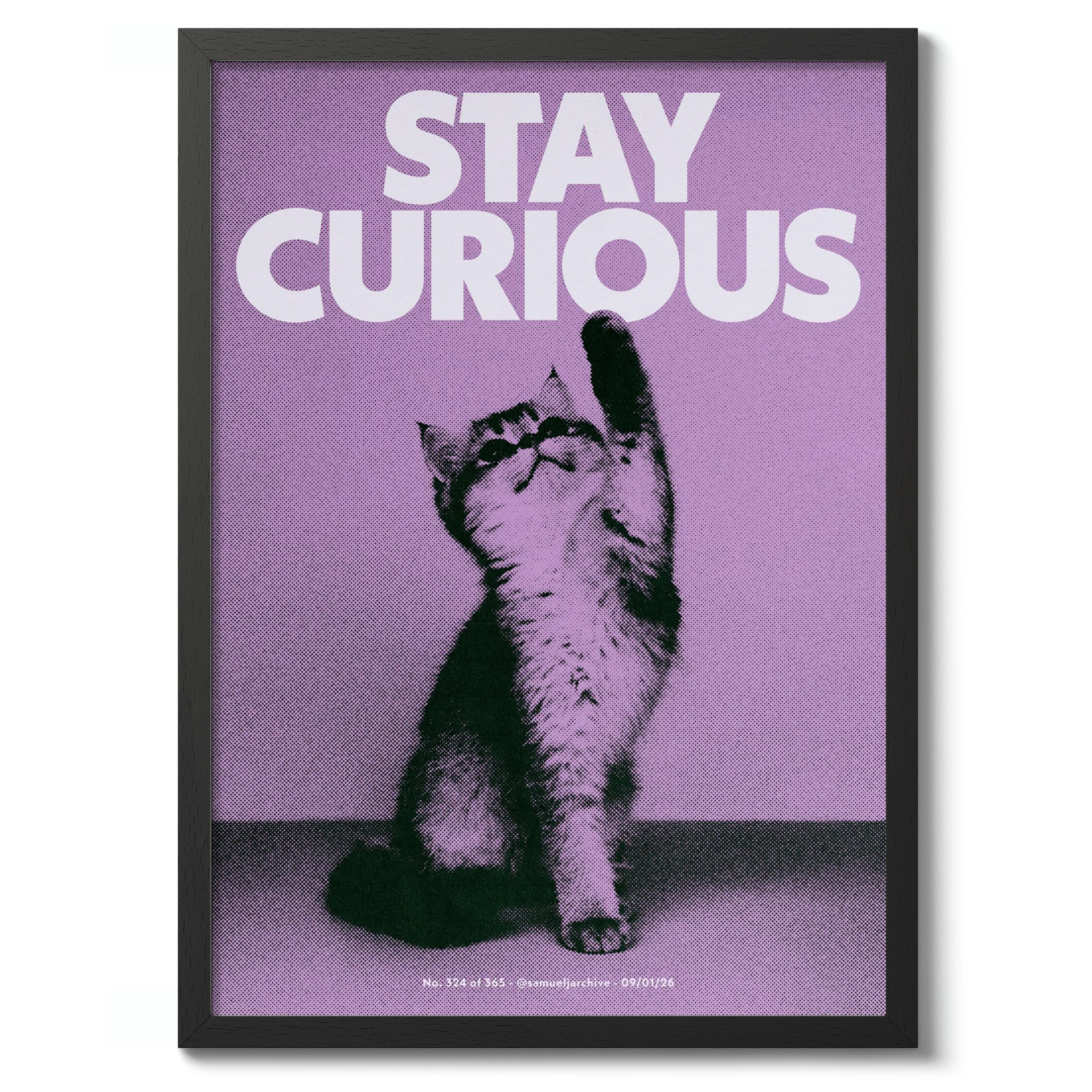 Stay Curious - Image 2