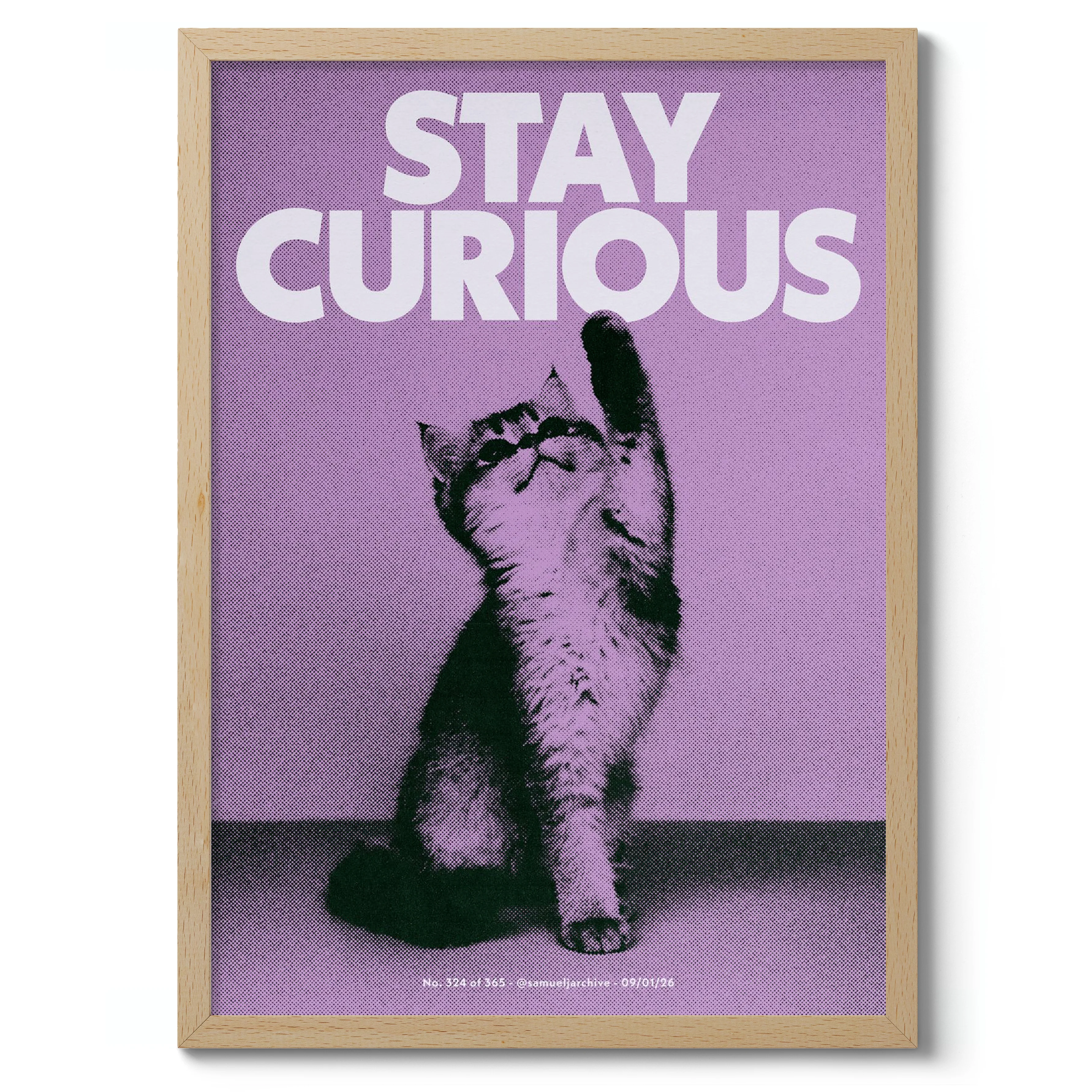 Stay Curious - Image 3