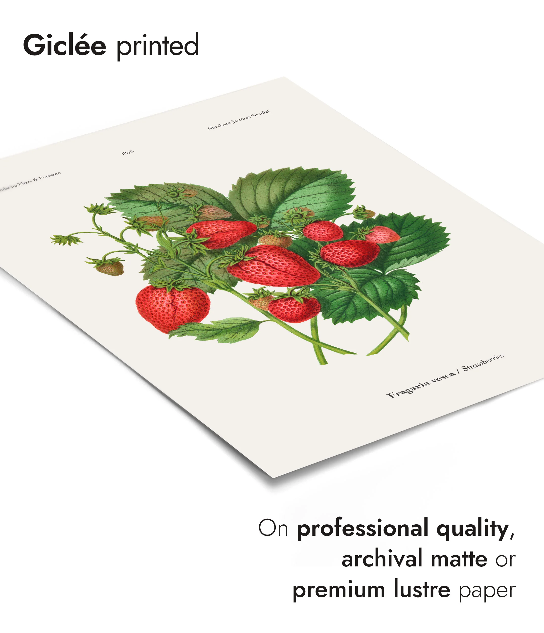 Strawberries - Image 6