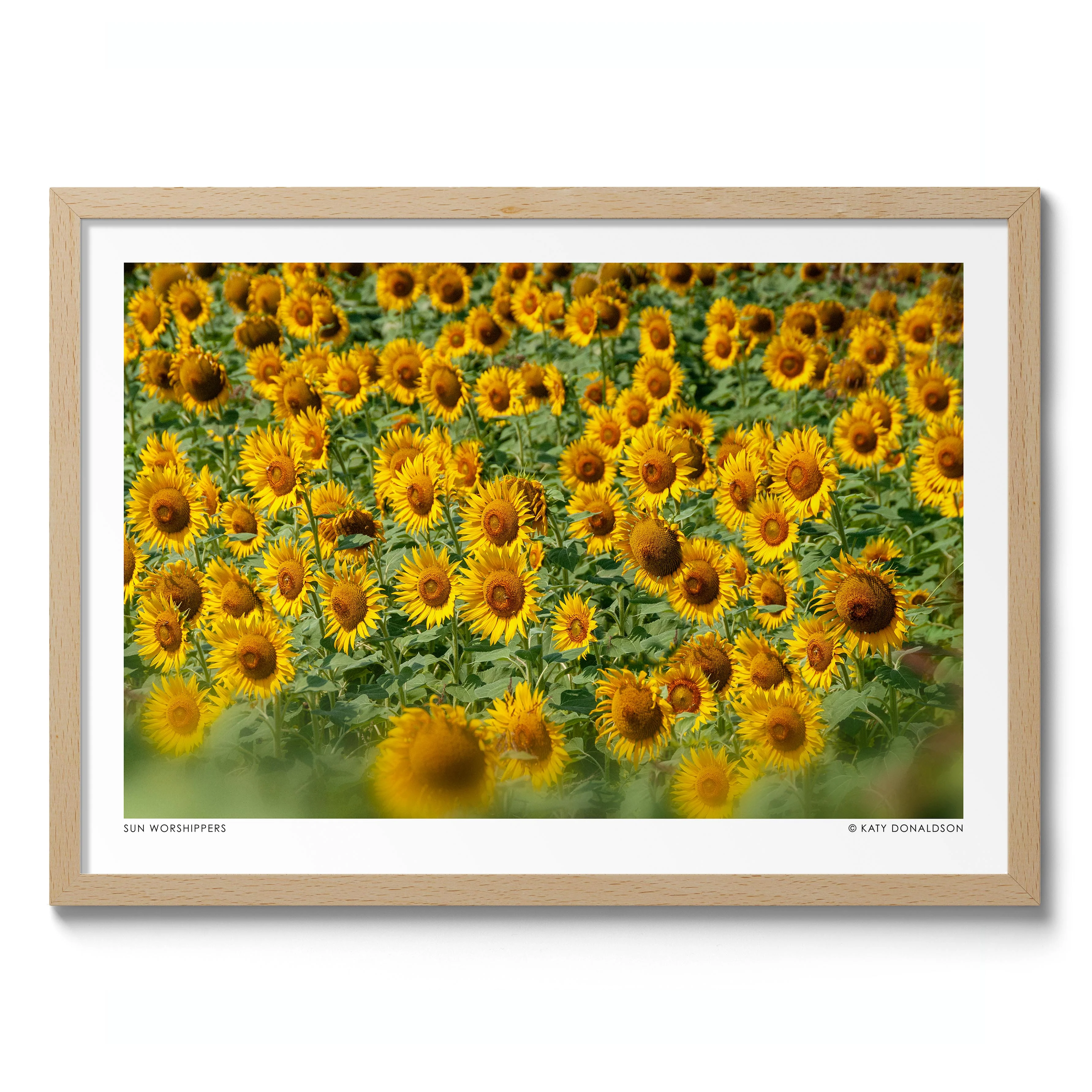 Sun Worshippers - Image 3