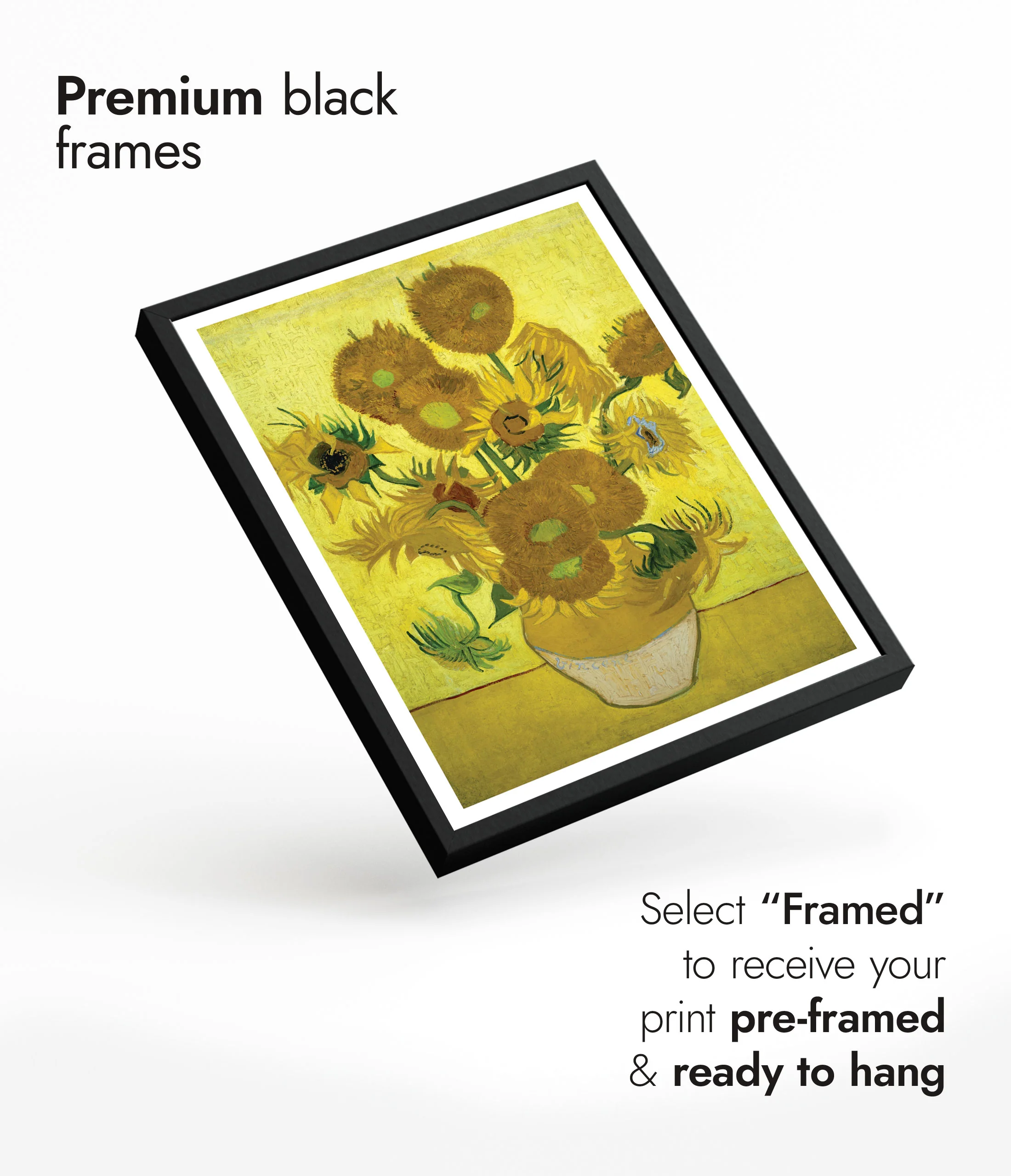 Sunflowers - Image 7