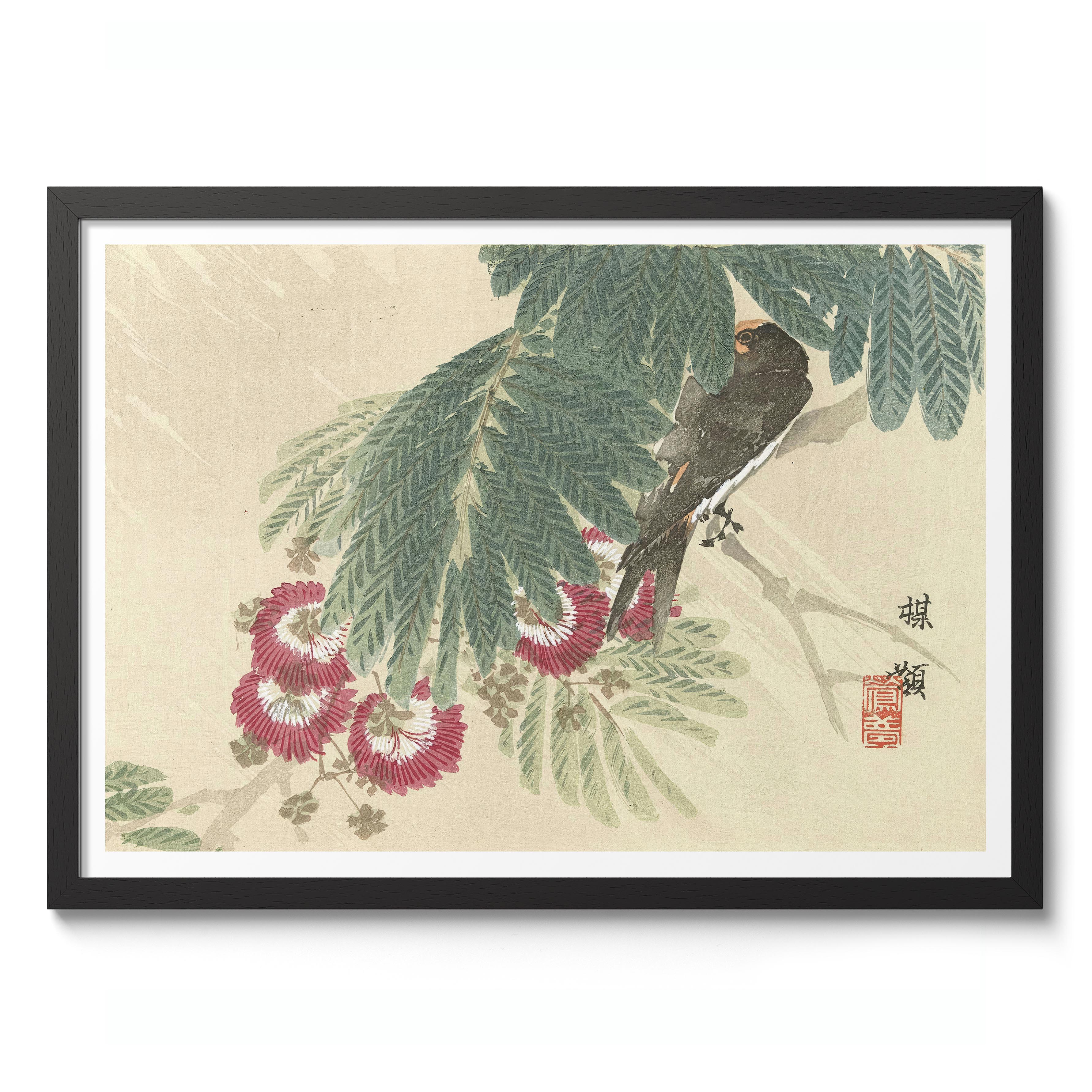 Swallow - Image 2