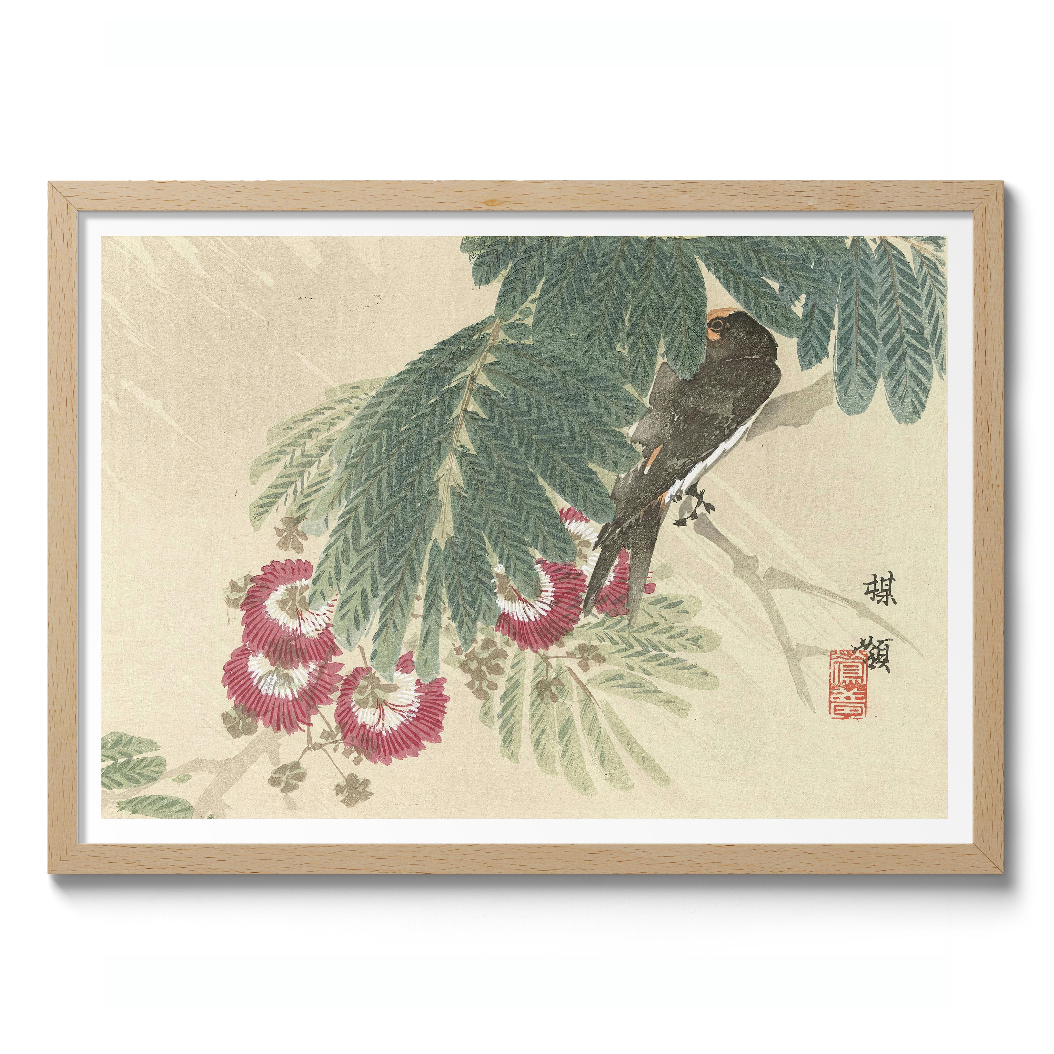 Swallow - Image 3