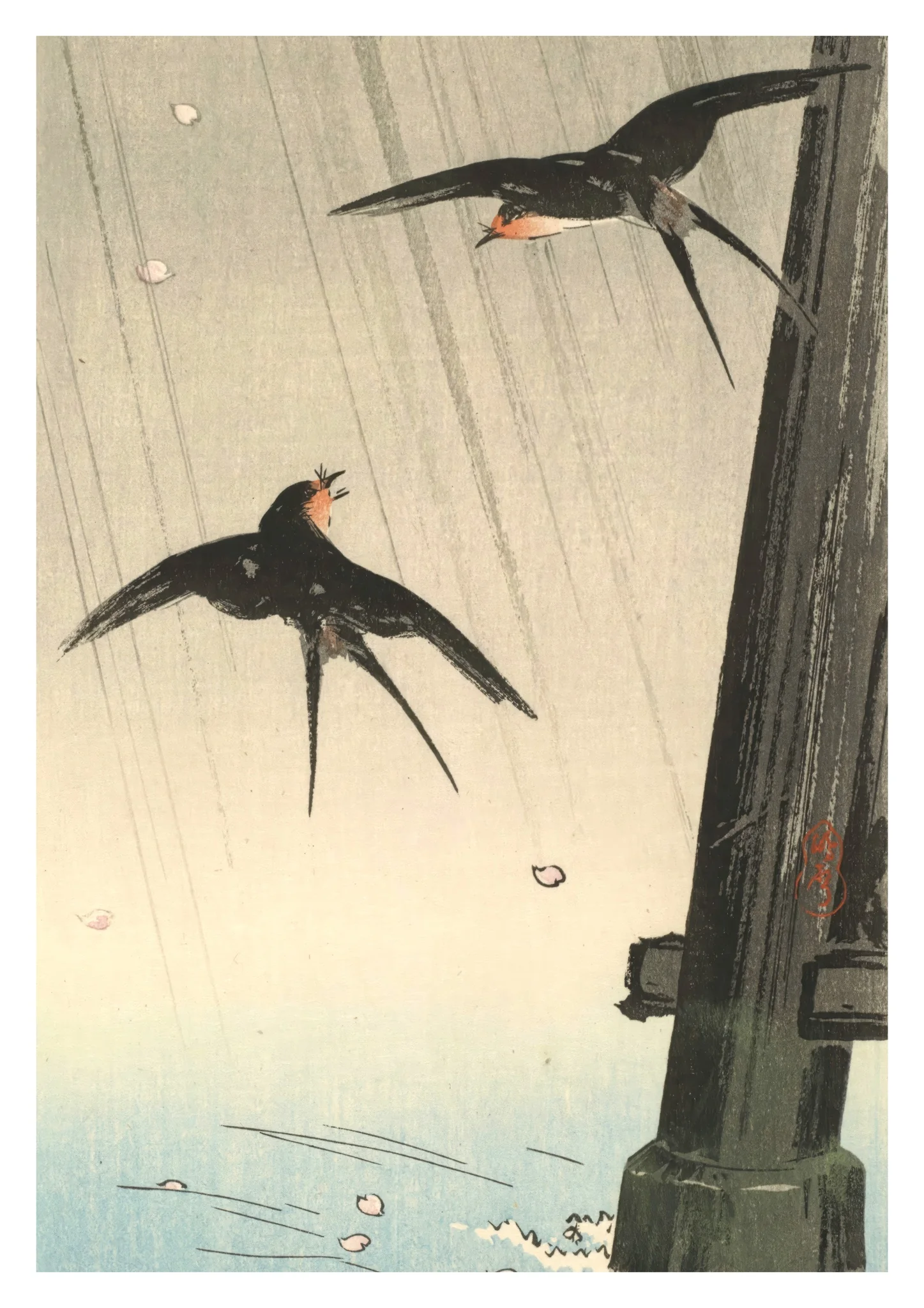 Swallows