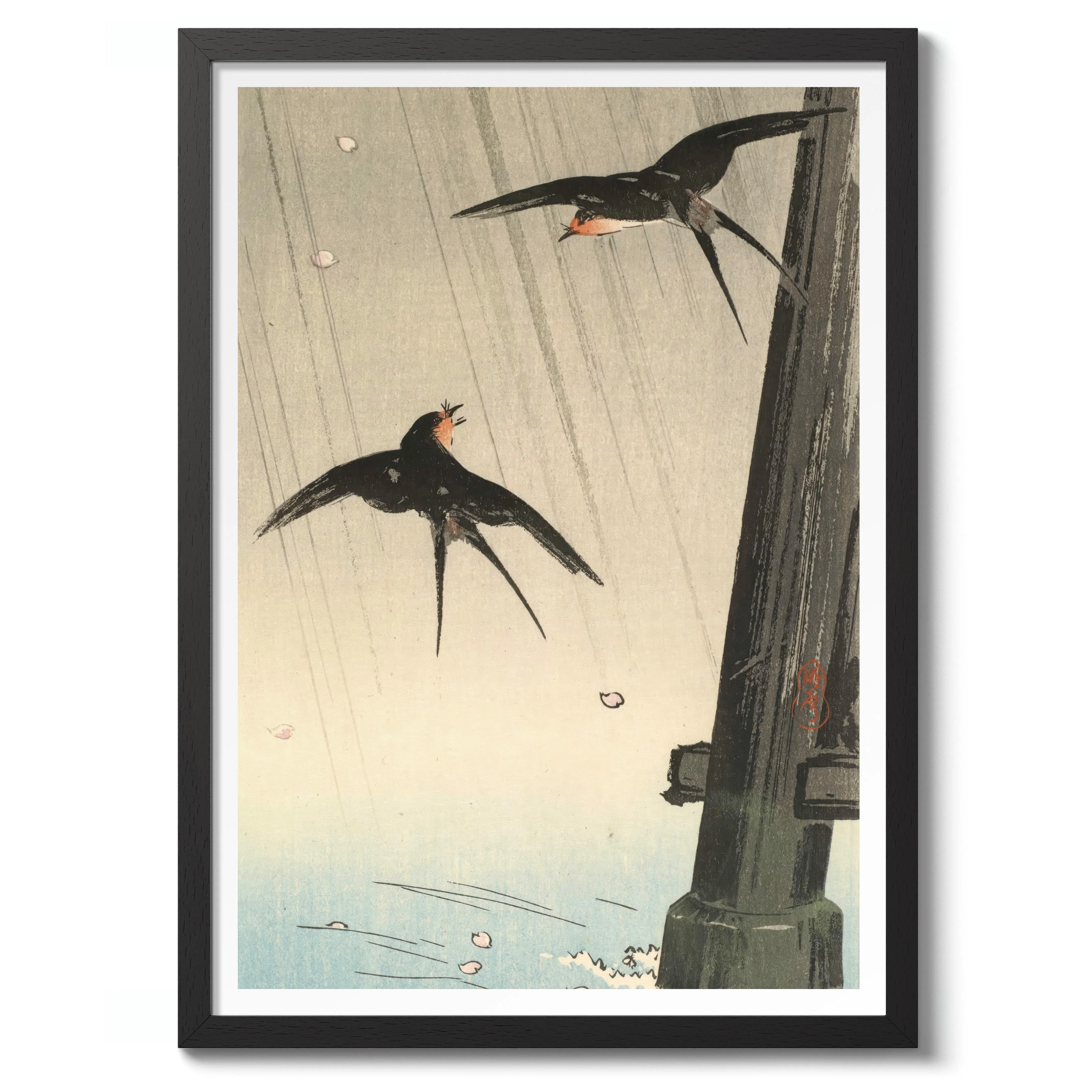 Swallows - Image 2