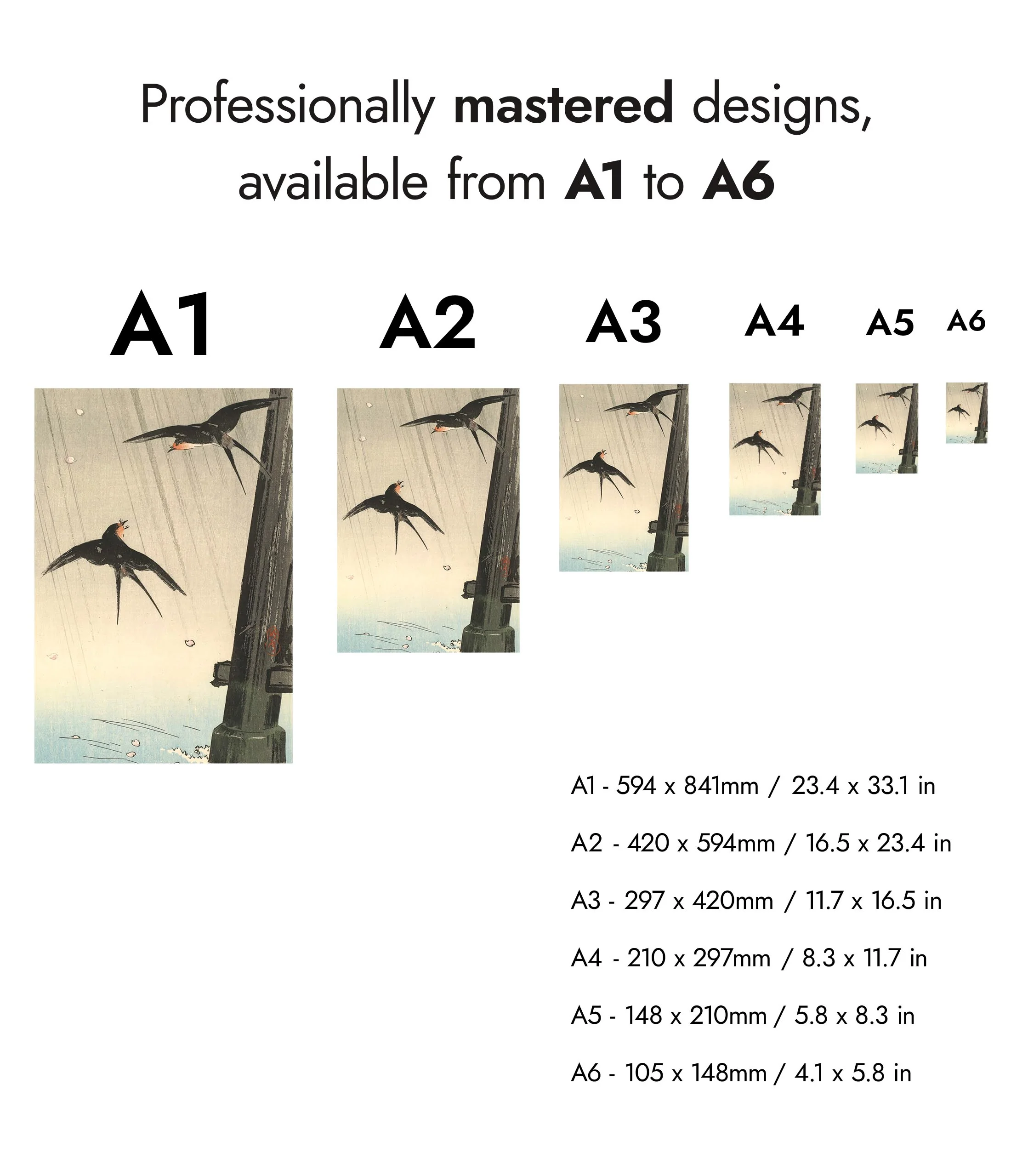 Swallows - Image 8