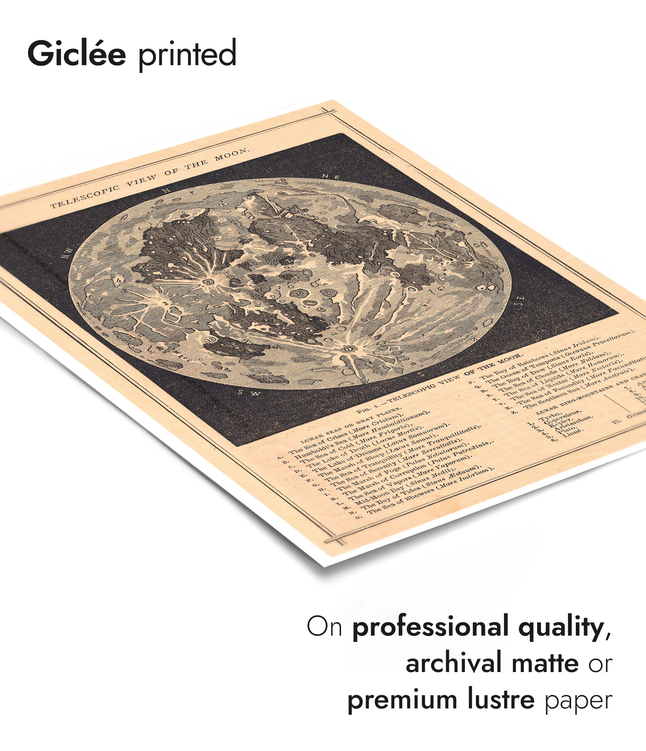Telescopic View of the Moon - Image 6