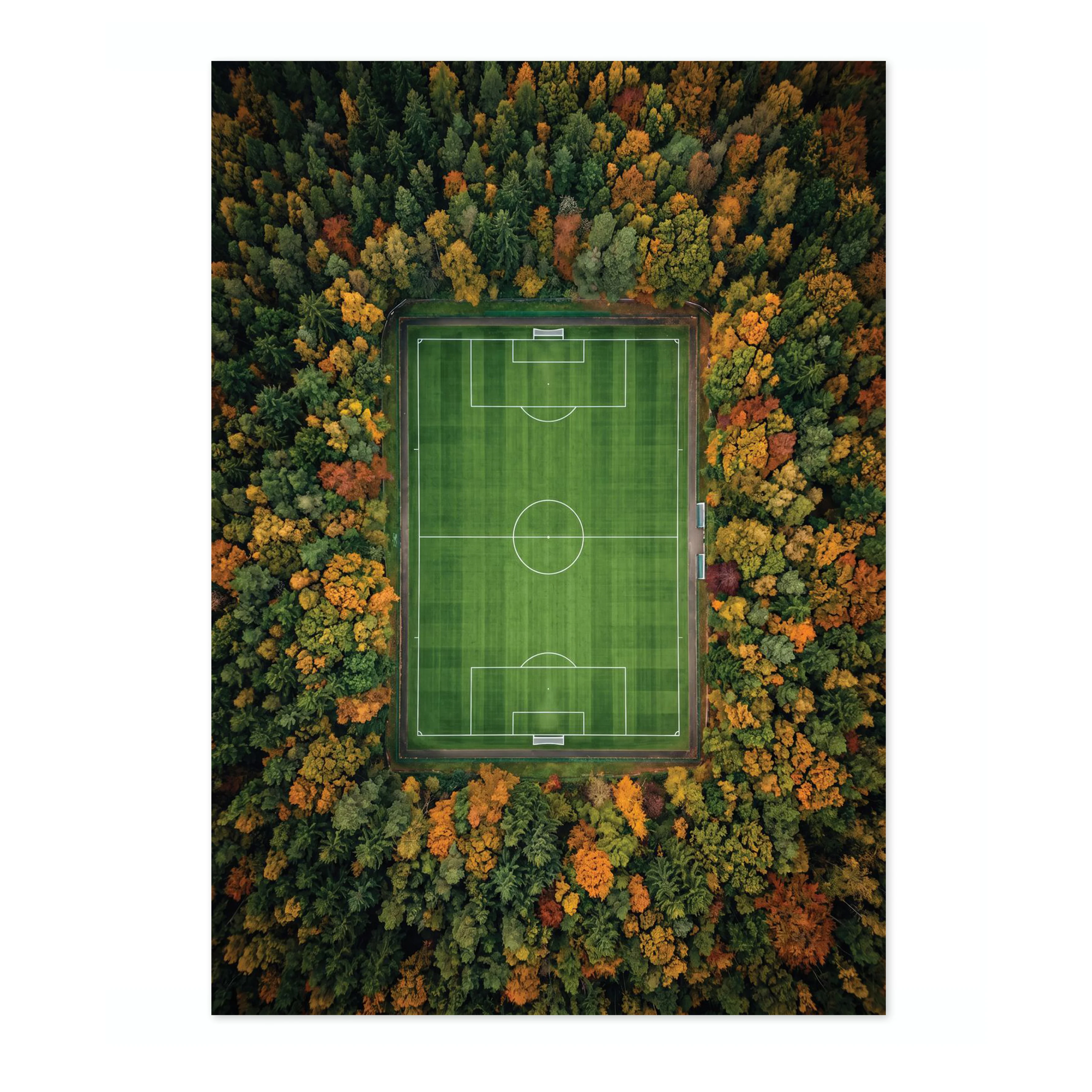 The Clearing - Image 4