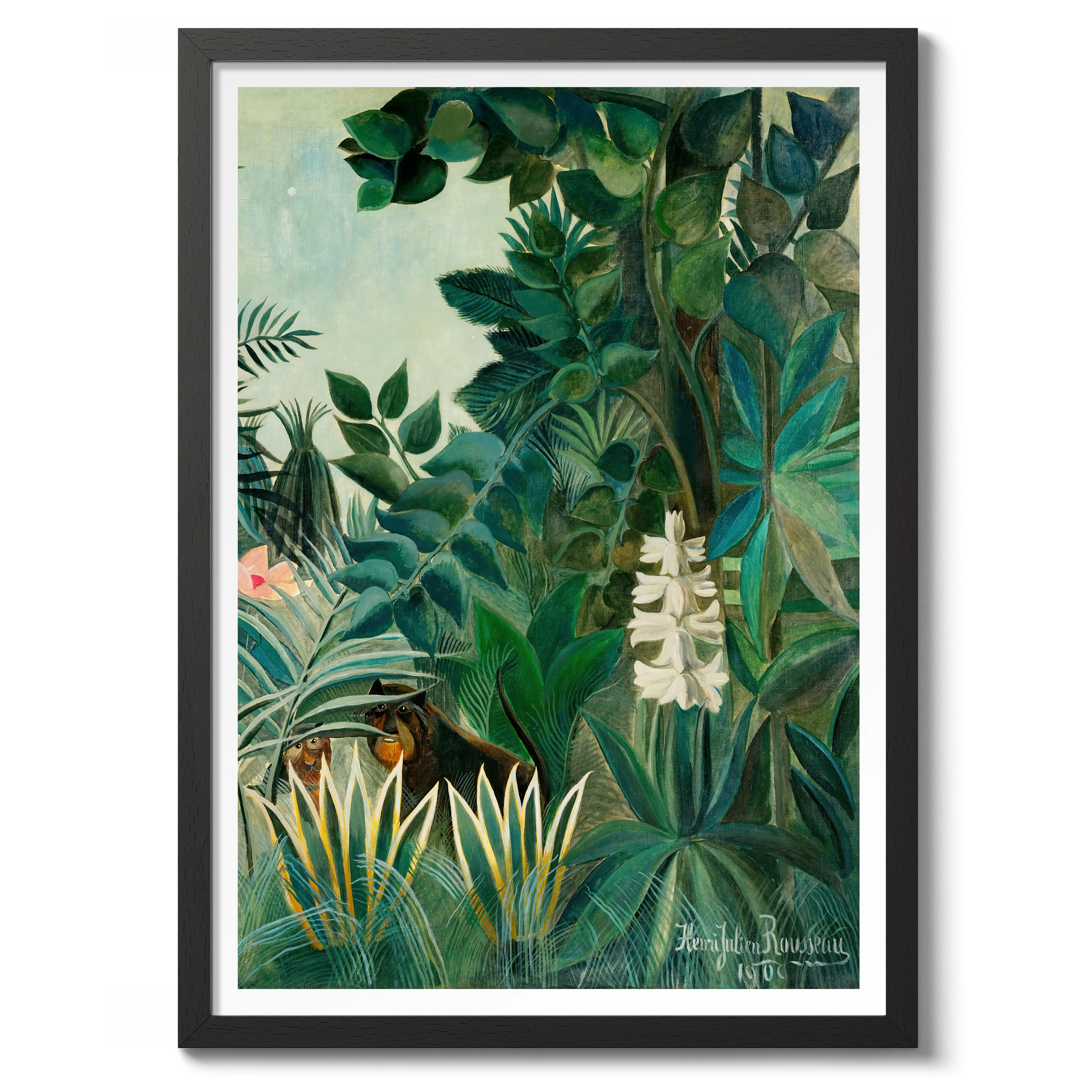 The Equatorial Jungle - Image 2