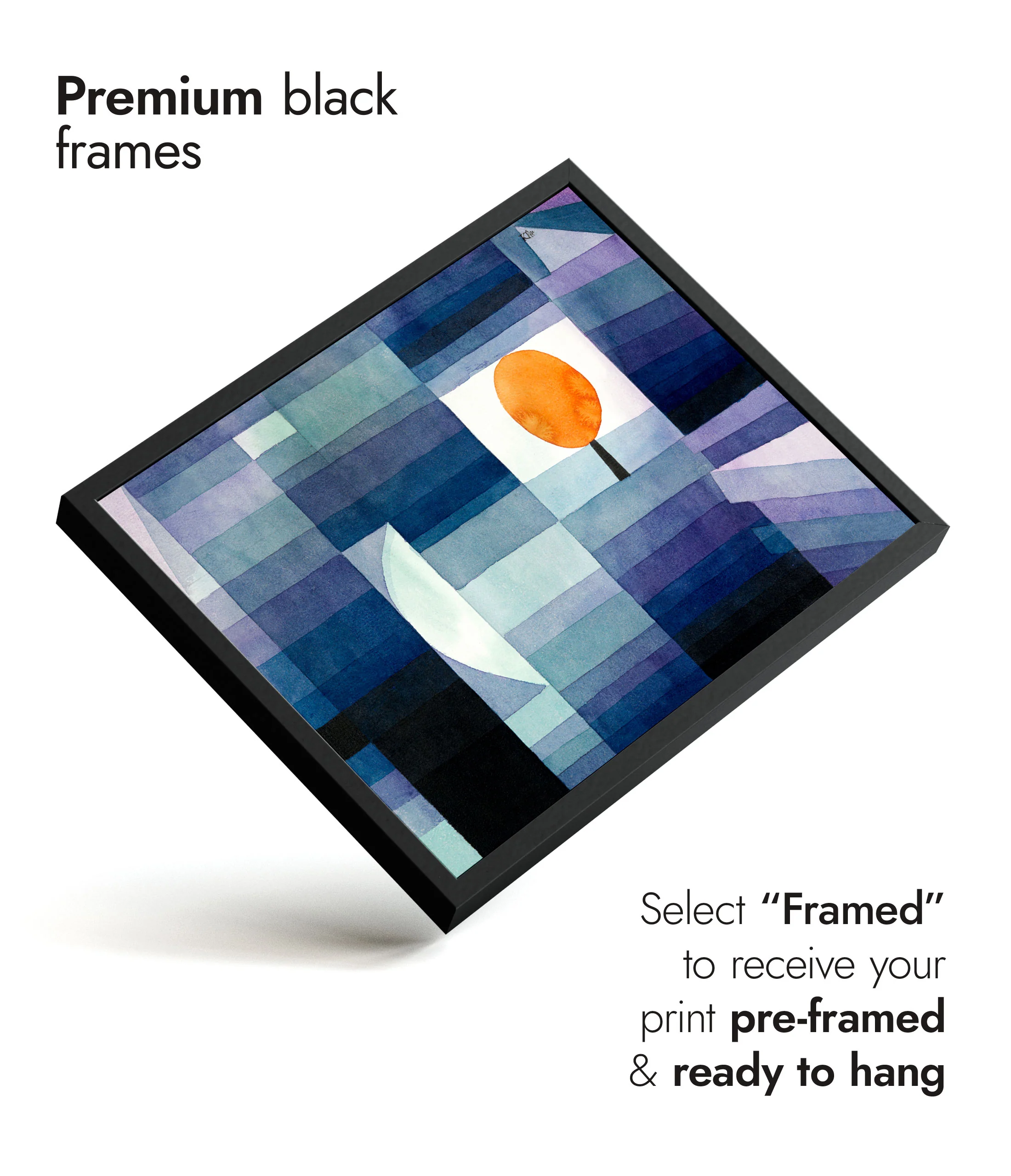 The Harbinger of Autumn - Image 7