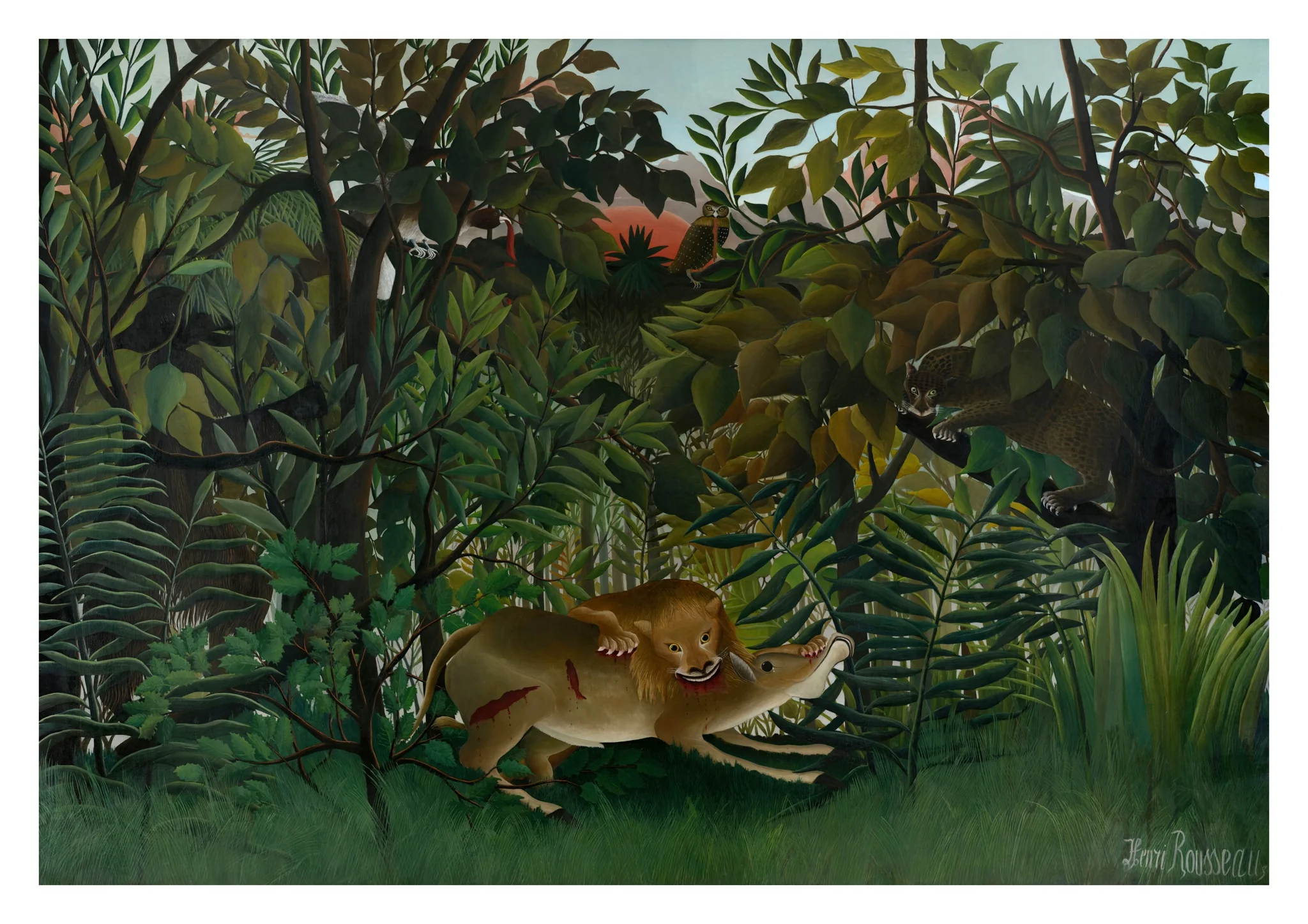 The Hungry Lion Attacking an Antelope