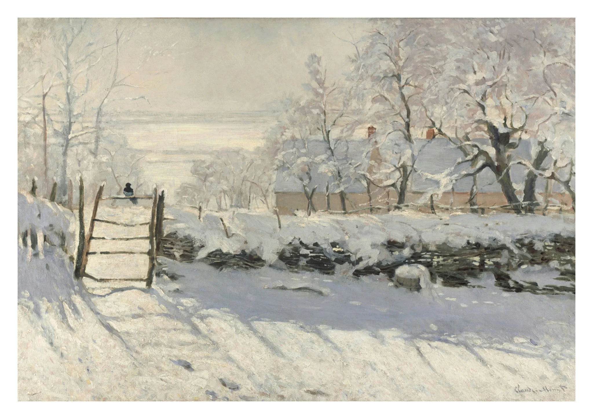 The Magpie
