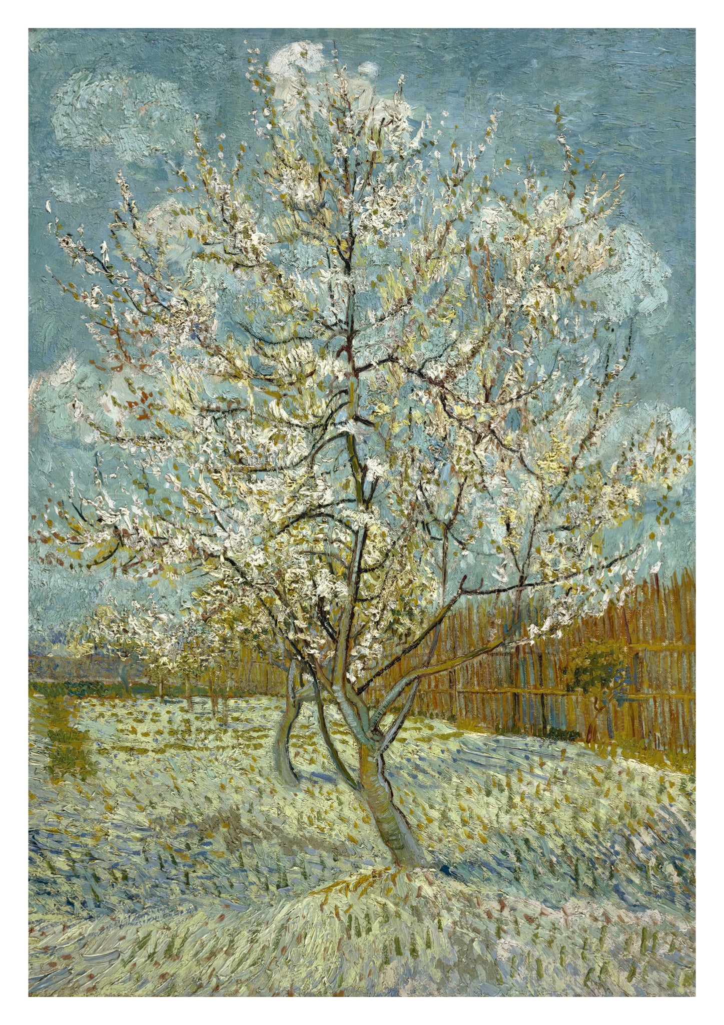 The Pink Peach Tree