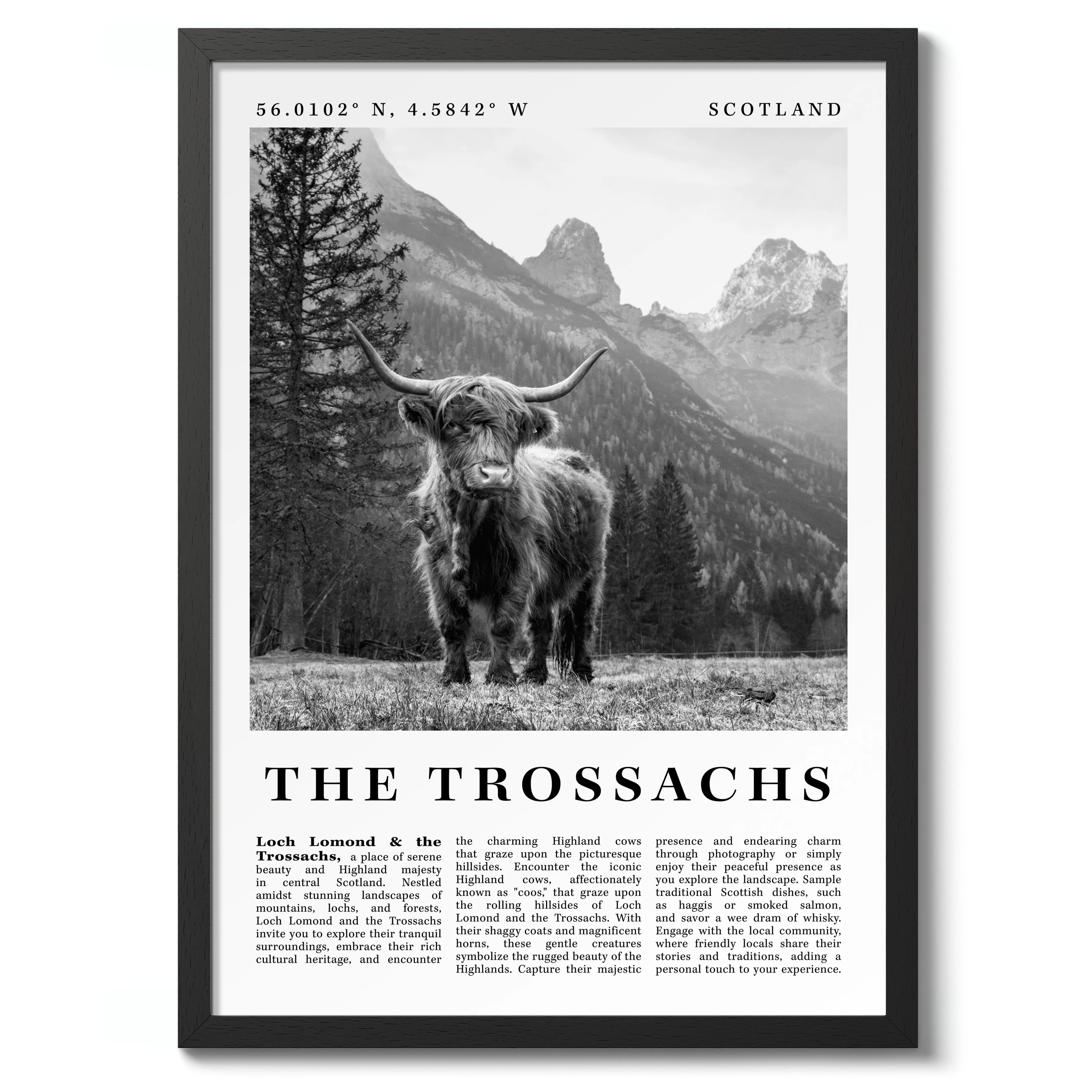 The Trossachs - Scotland - Image 2