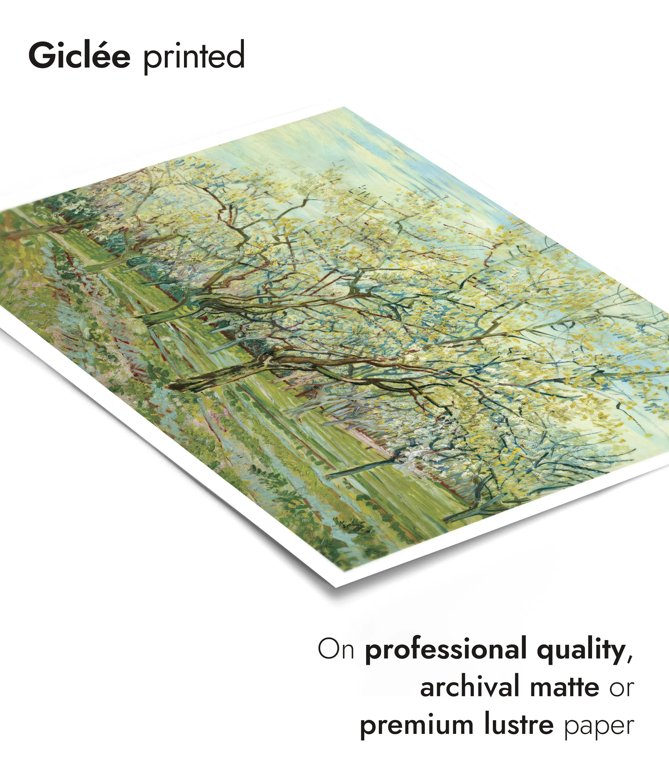 The White Orchard - Image 6