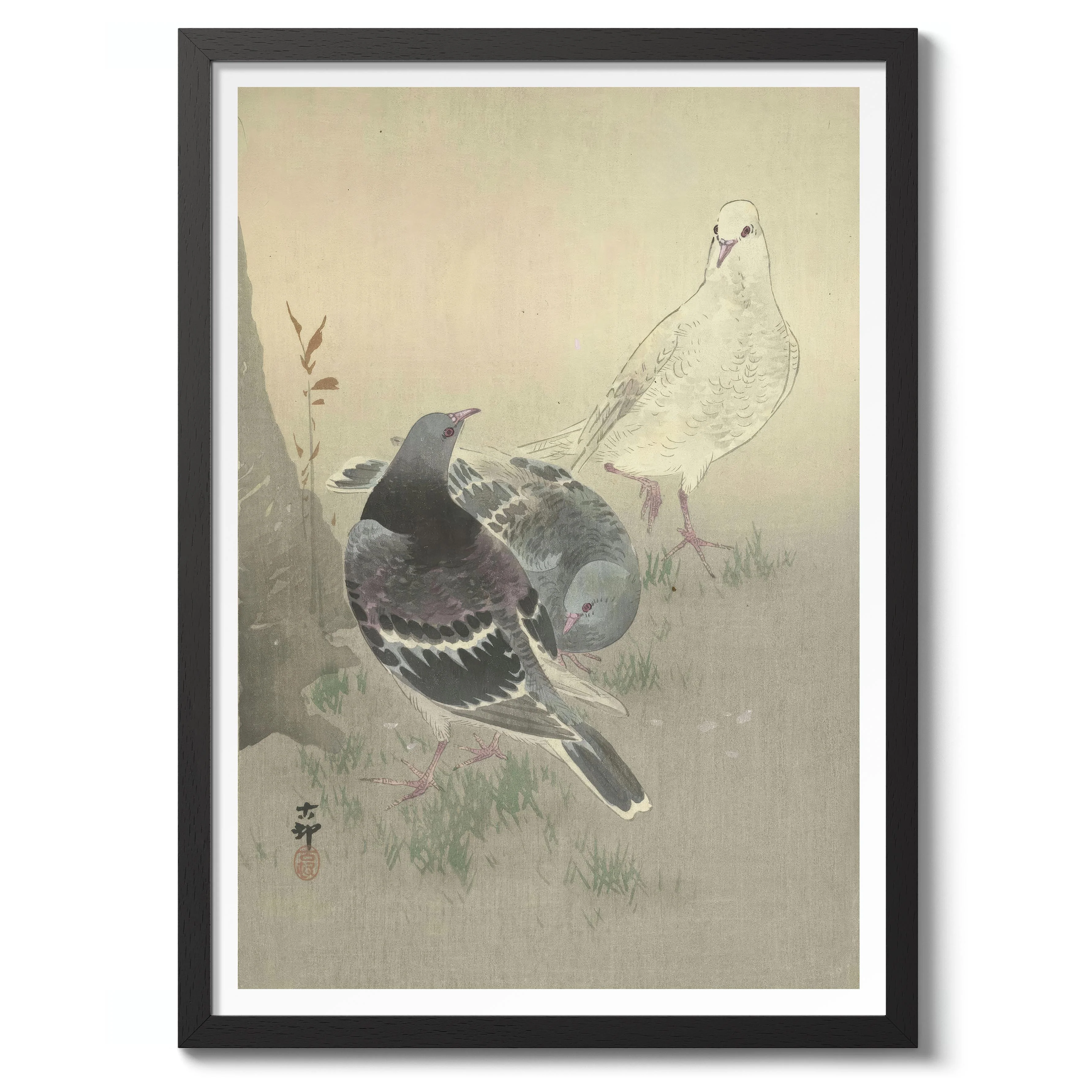 Three Tame Pigeons - Image 2