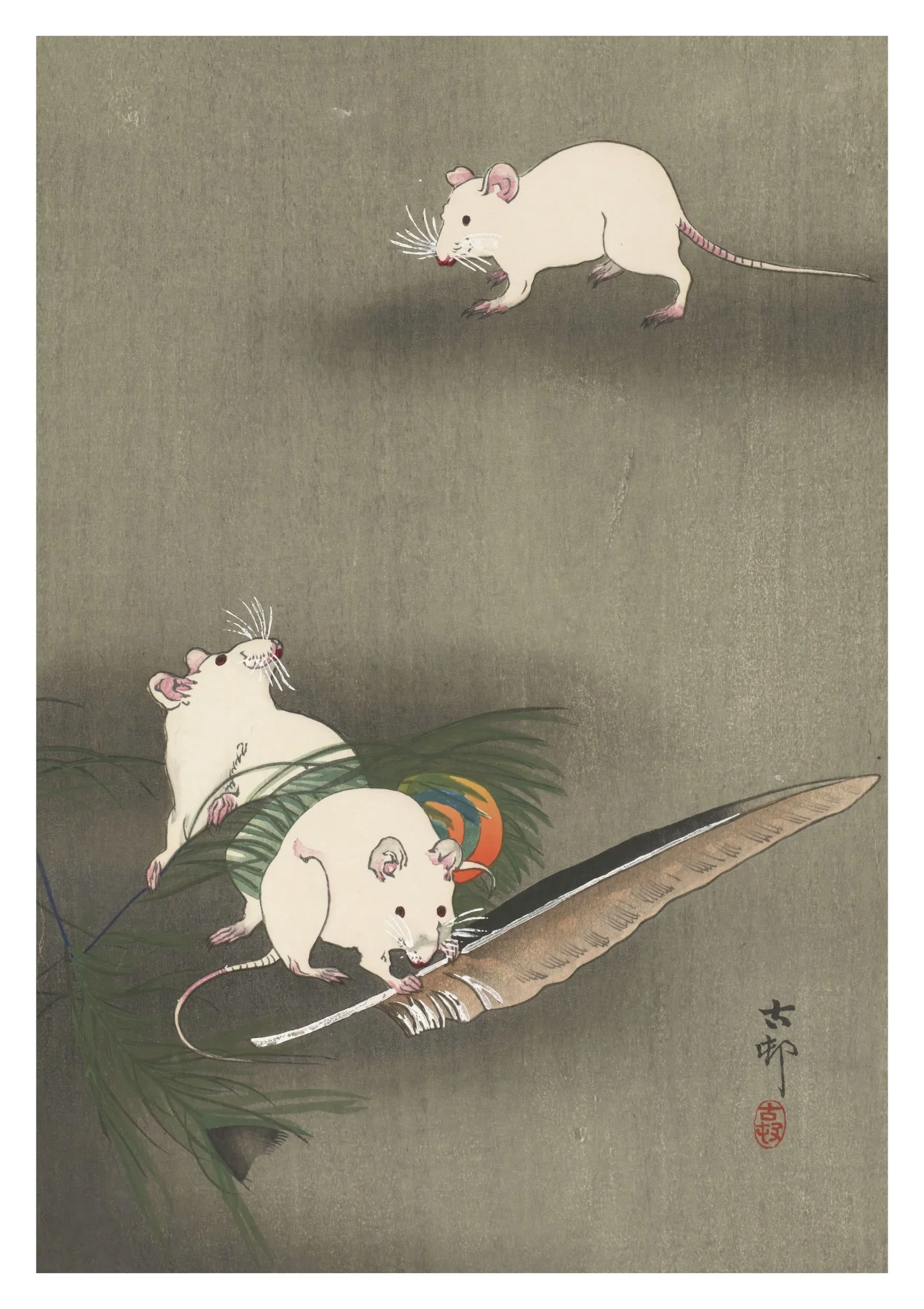Three White Mice & a Feather