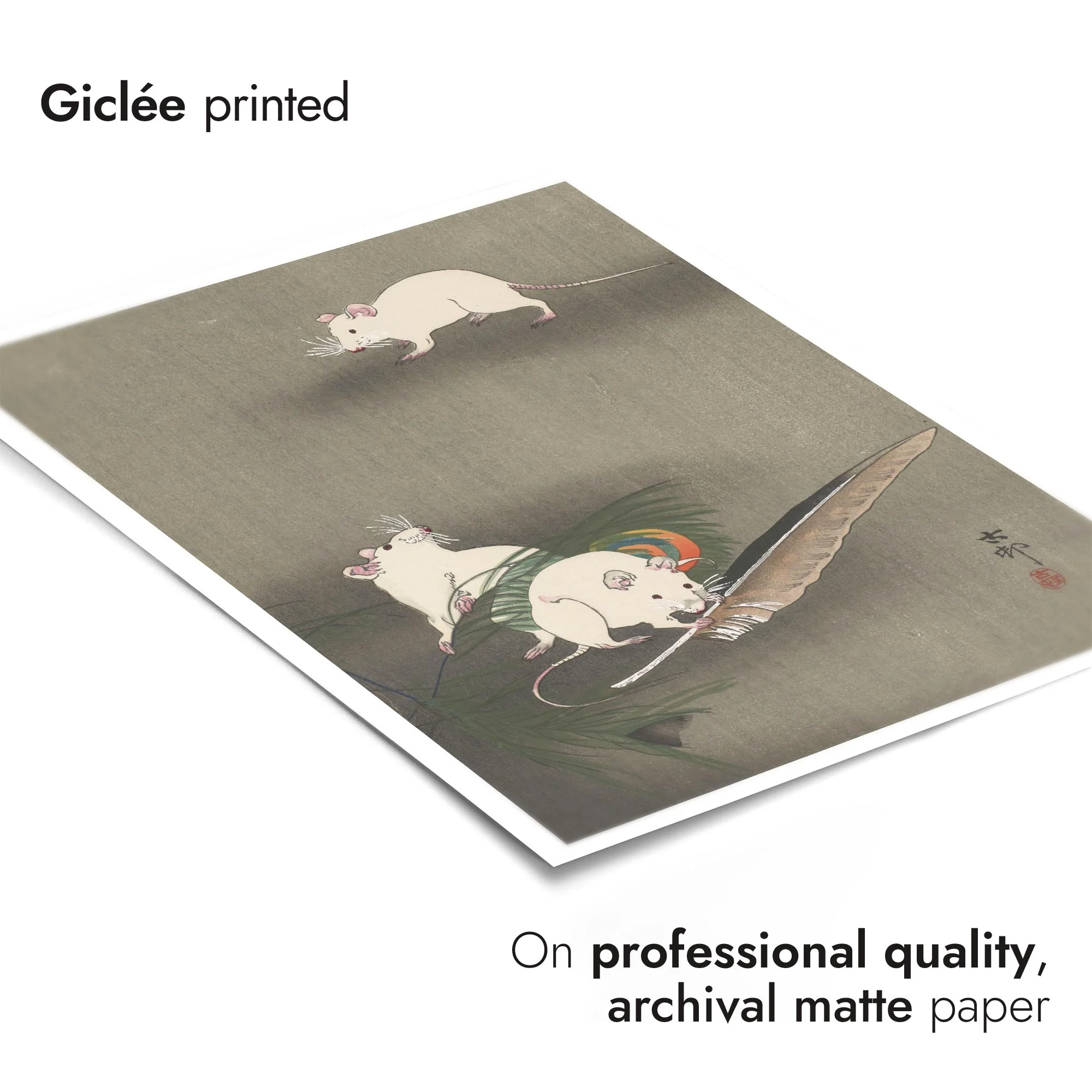 Three White Mice & a Feather - Image 6