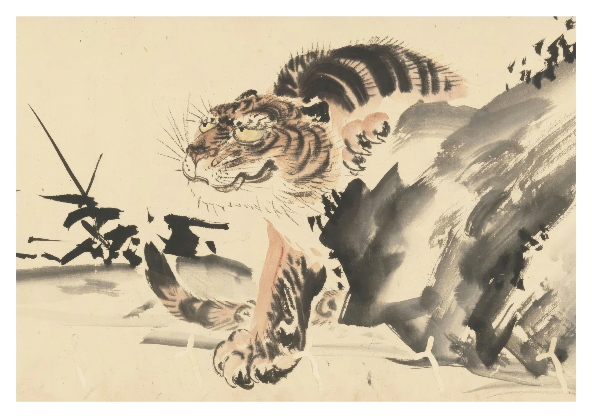 Tiger