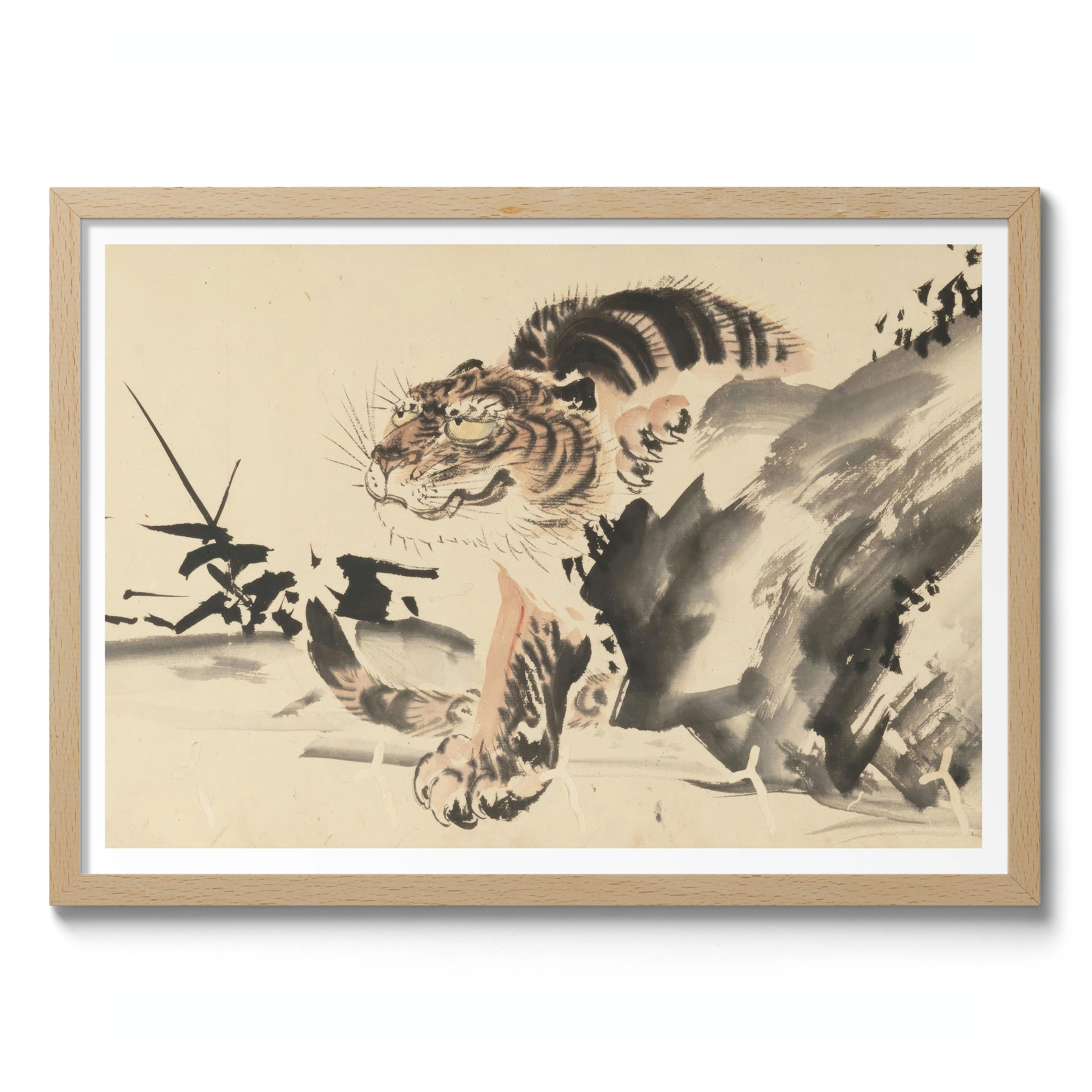 Tiger - Image 3