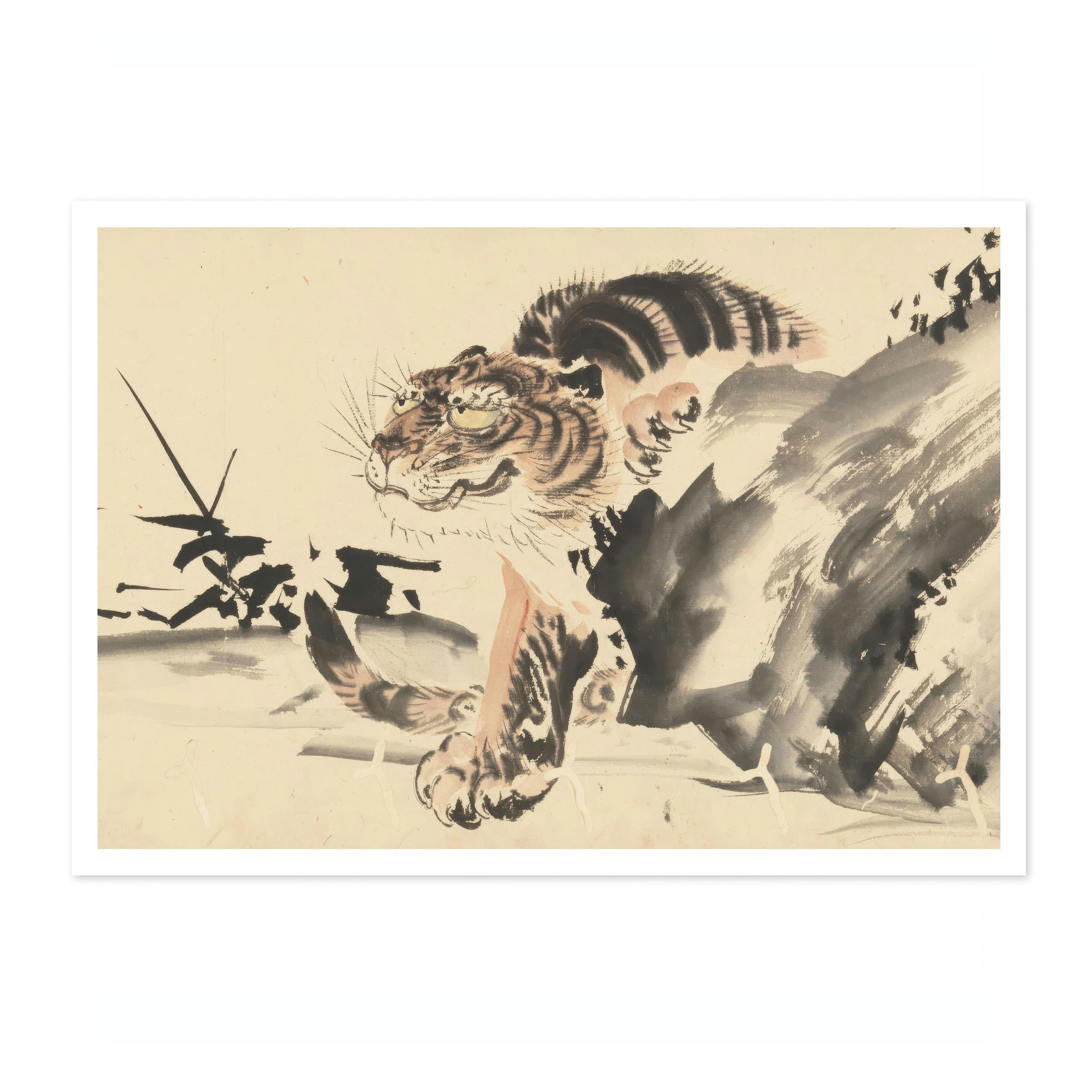 Tiger - Image 4