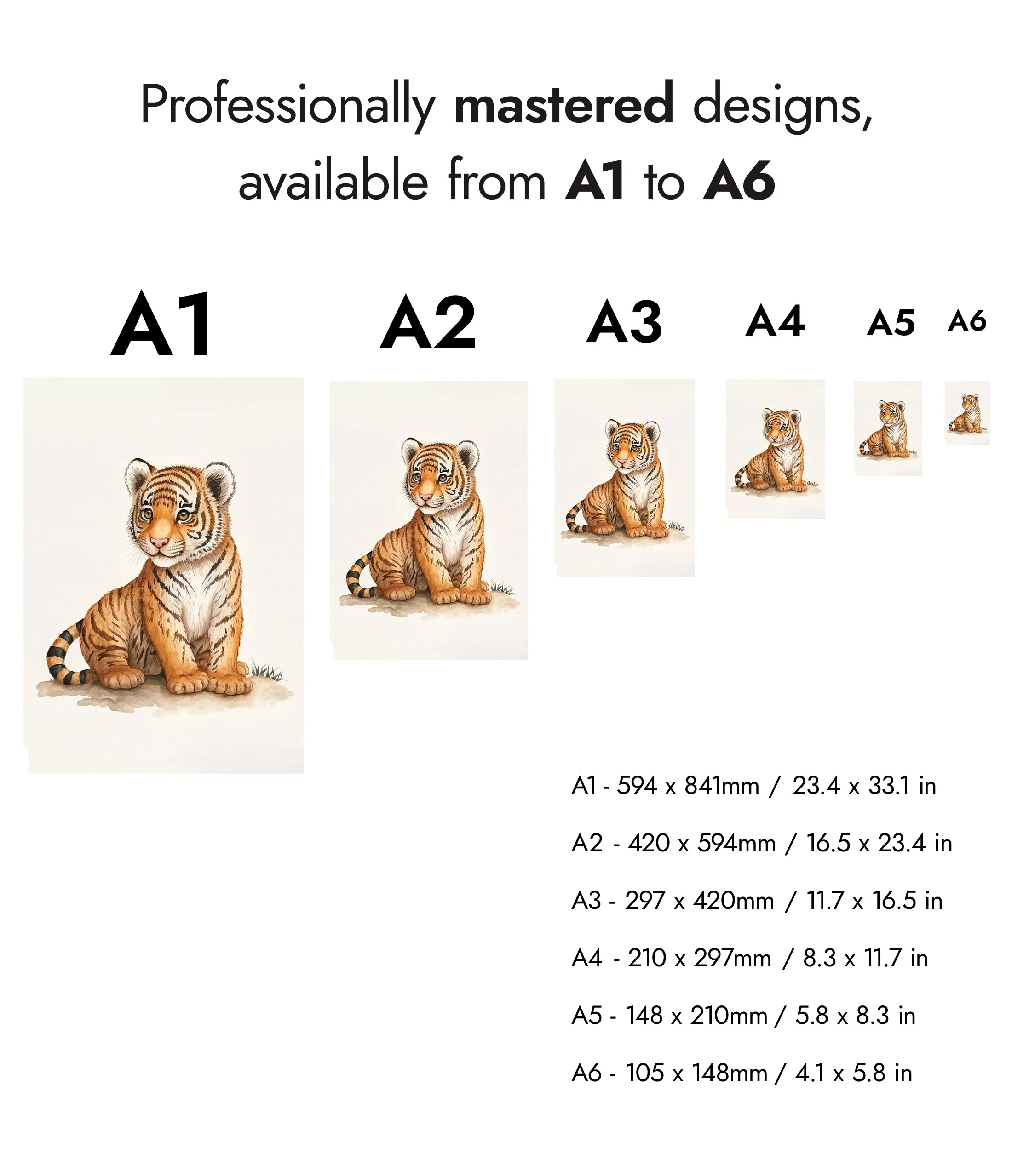 Tiger - Image 8