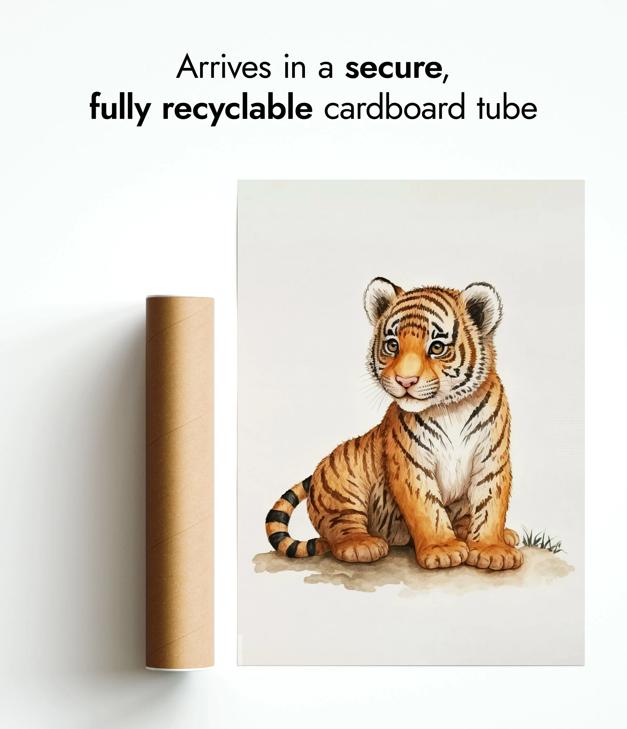 Tiger - Image 9