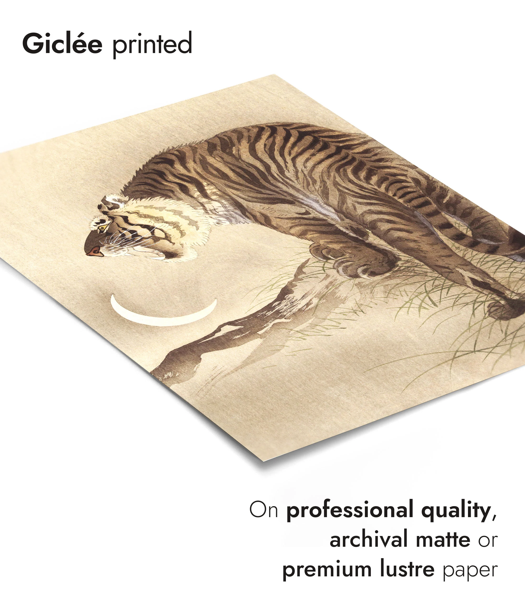 Tiger and Crescent Moon - Image 6