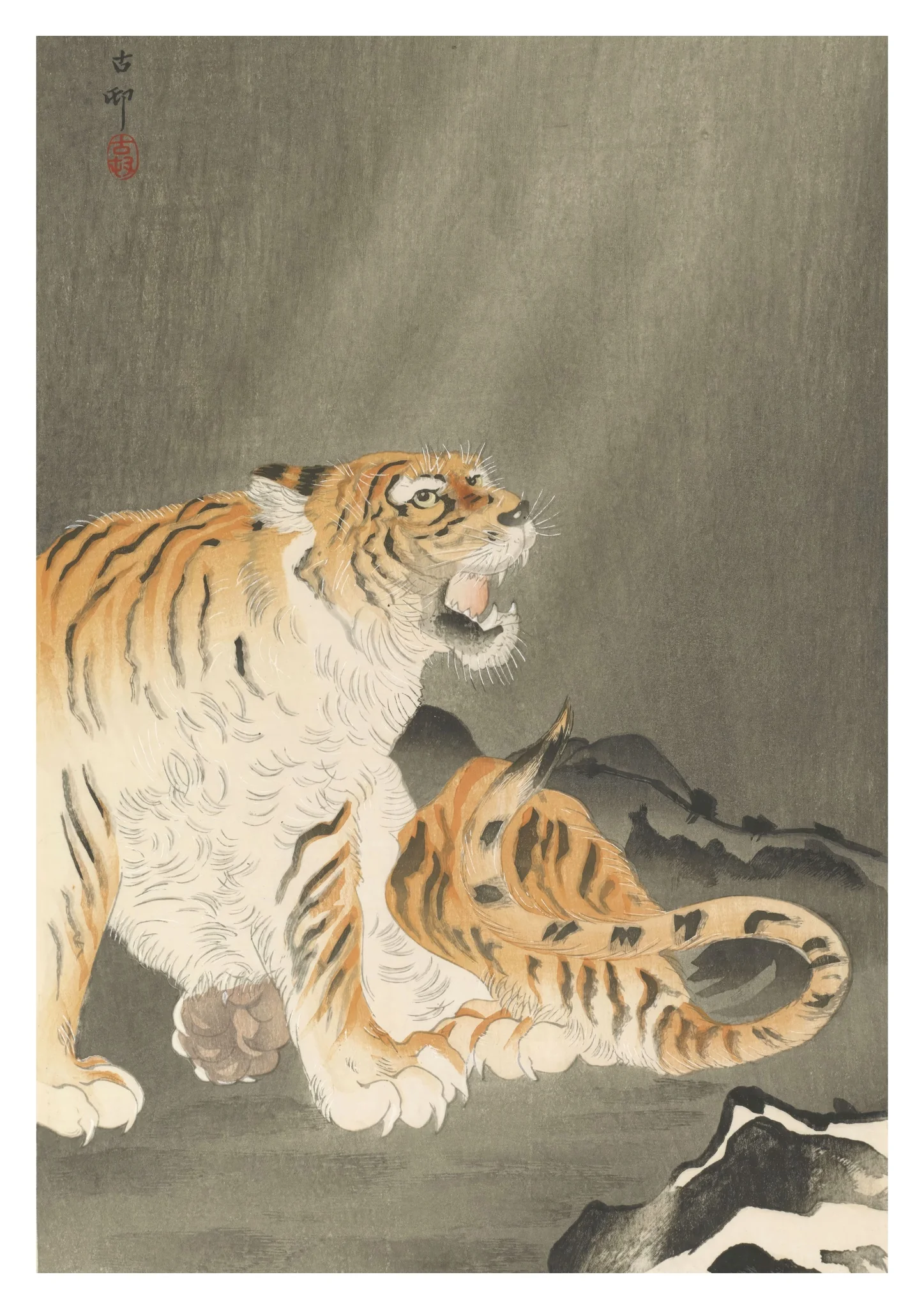 Tiger Near Rocks