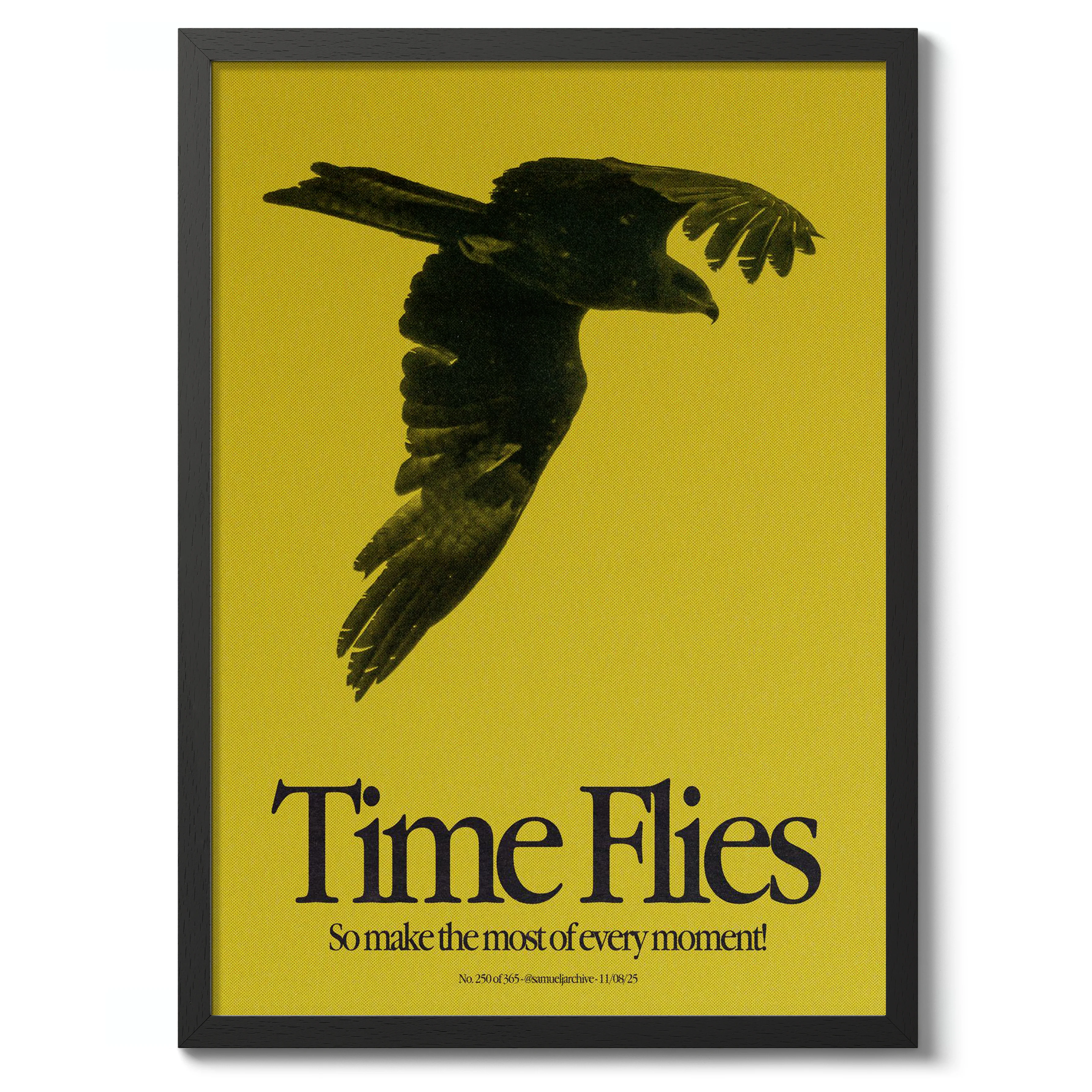 Time Flies - Image 2