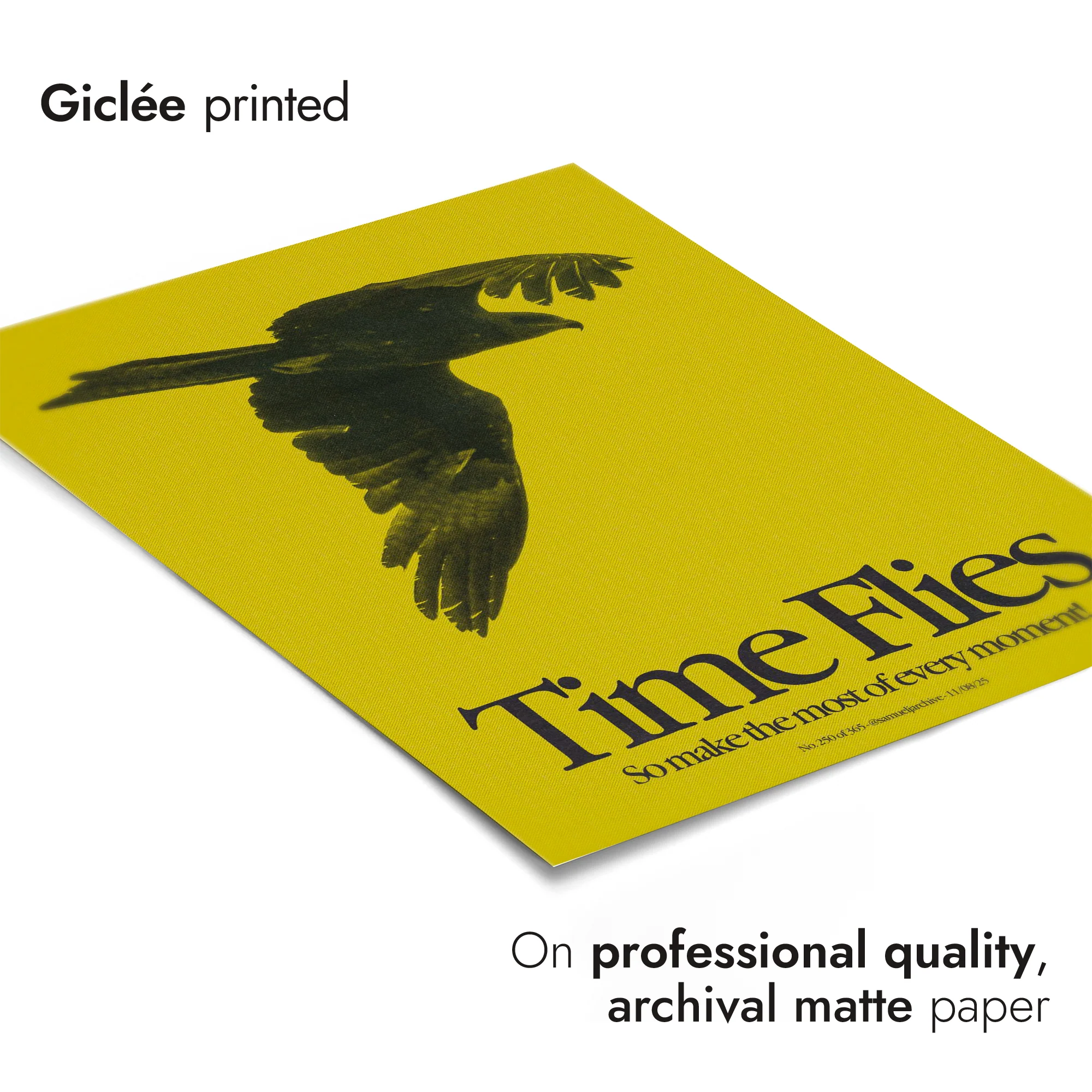 Time Flies - Image 6