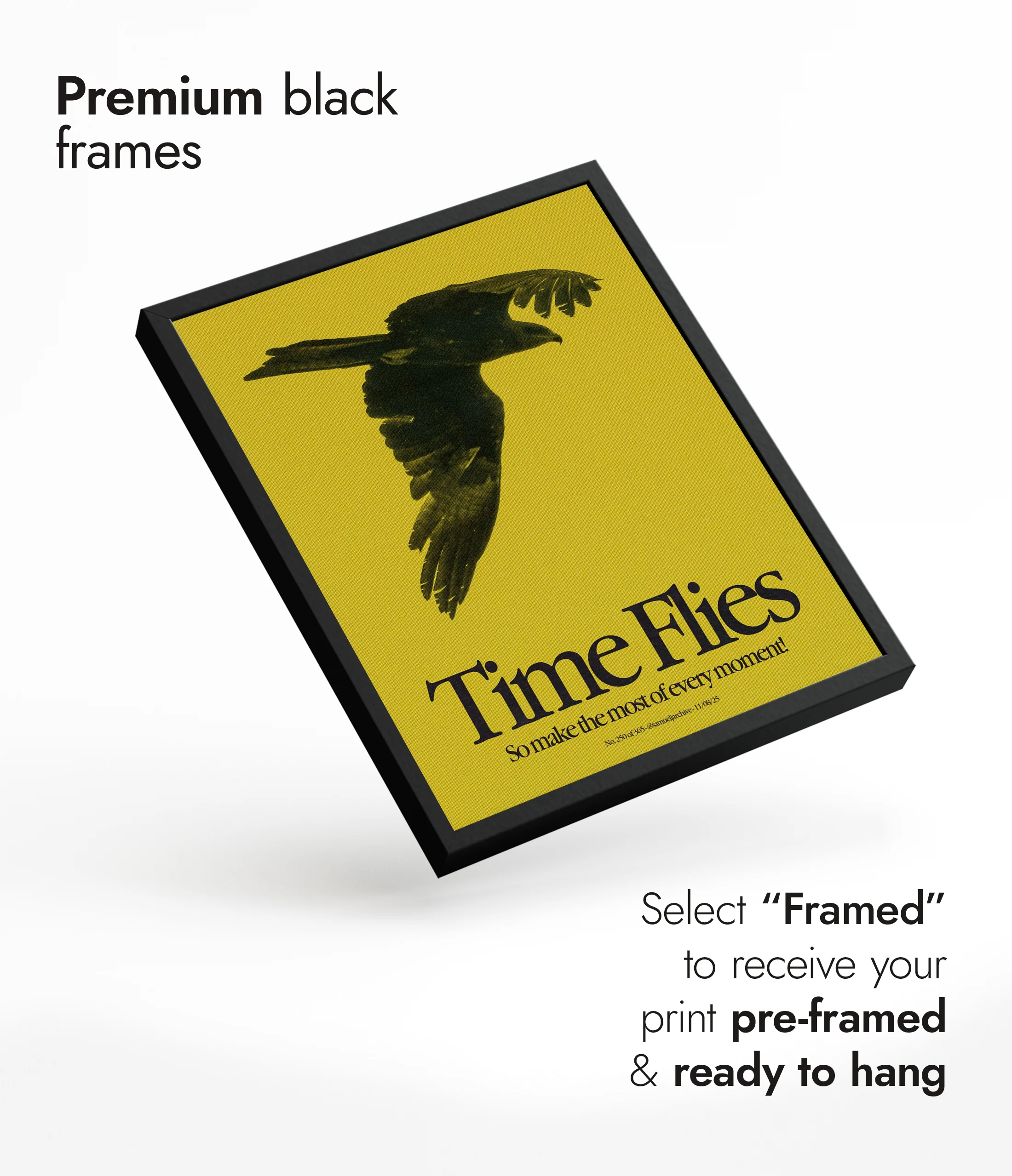 Time Flies - Image 7