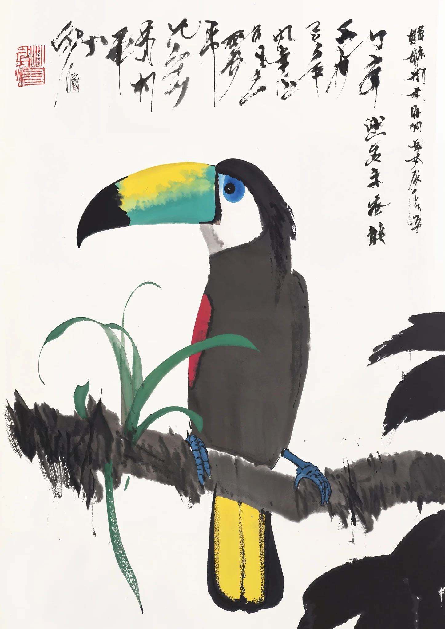Toucan