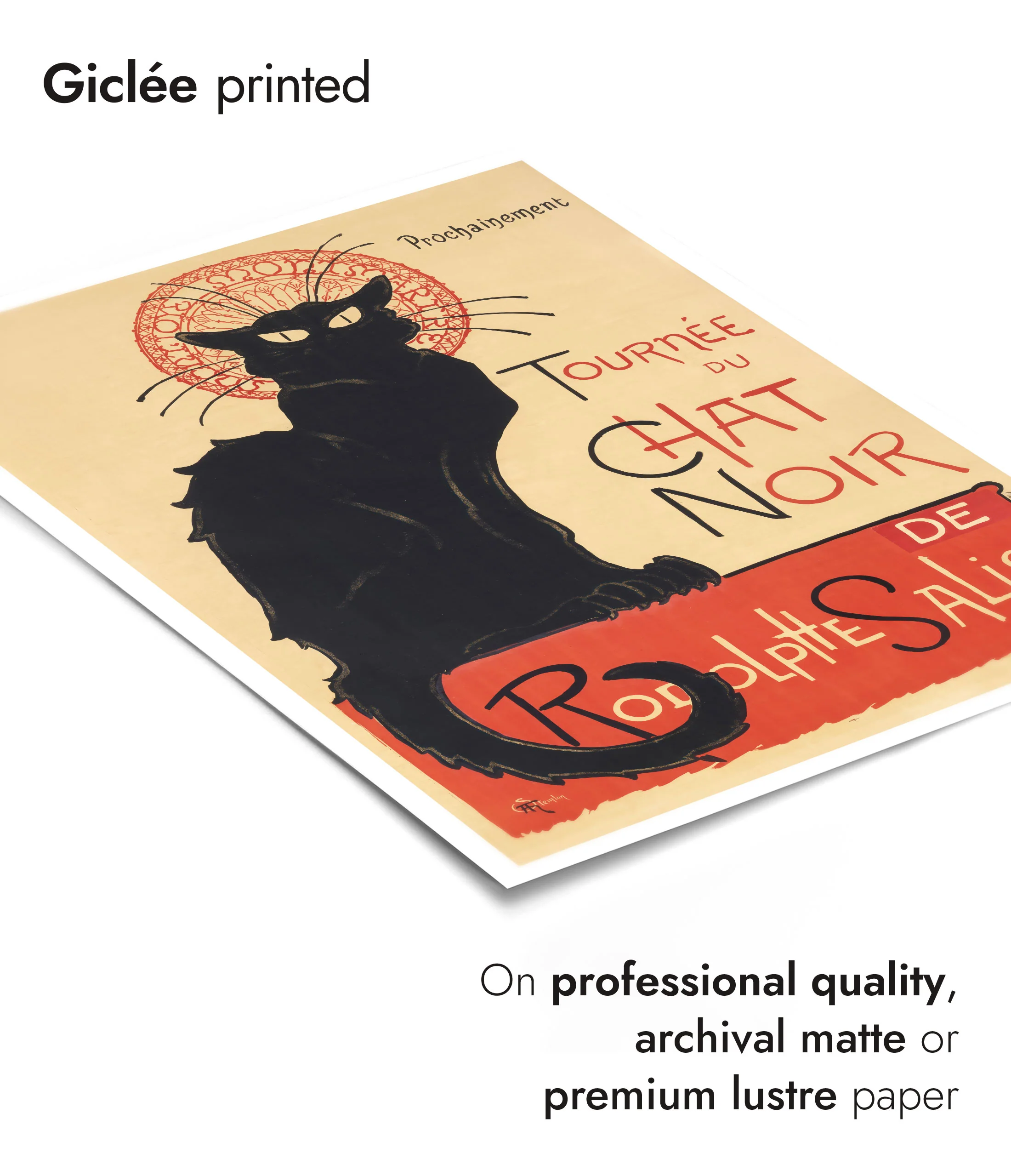 Tournee du Chat Noir - Image 6
