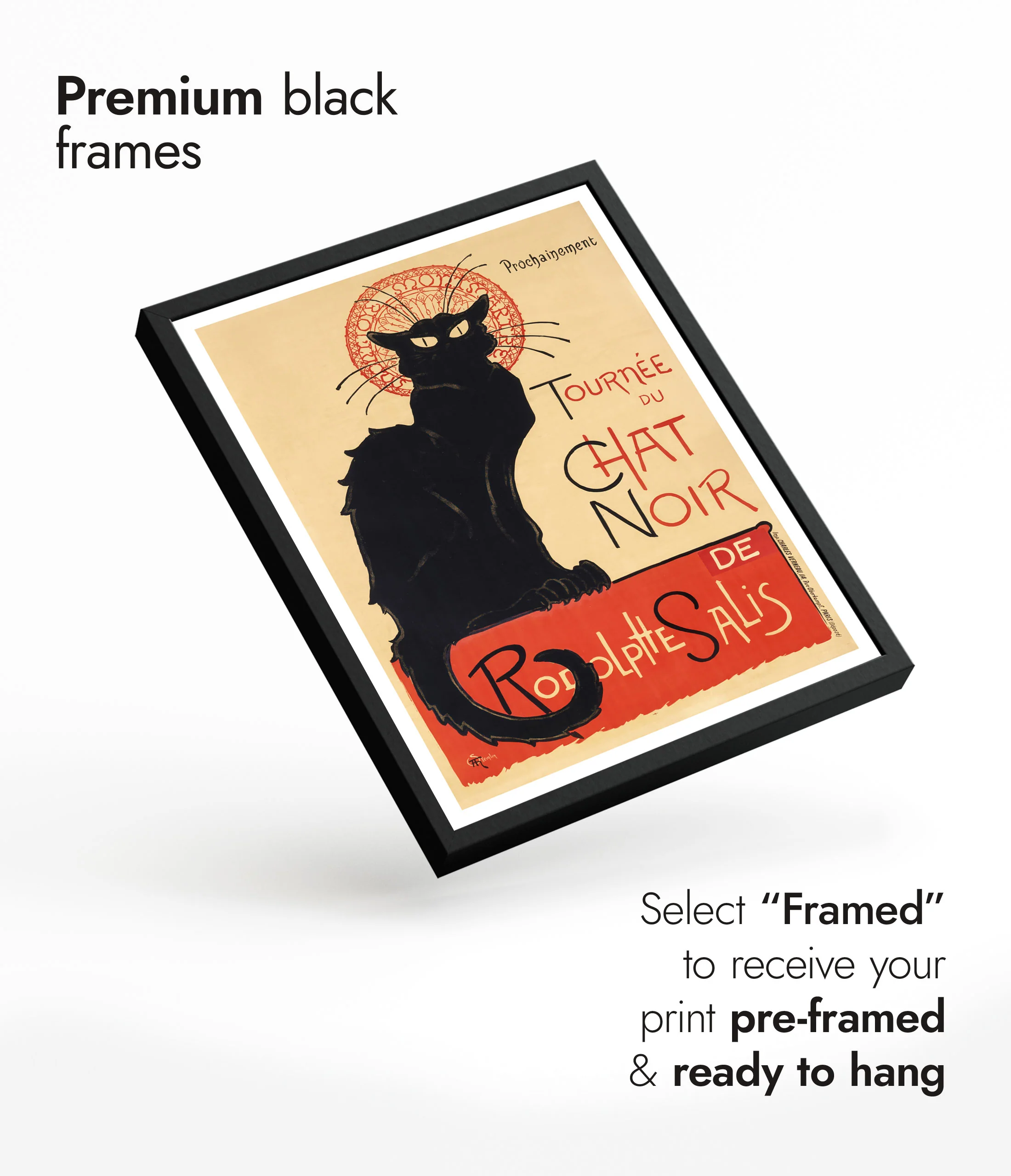 Tournee du Chat Noir - Image 7