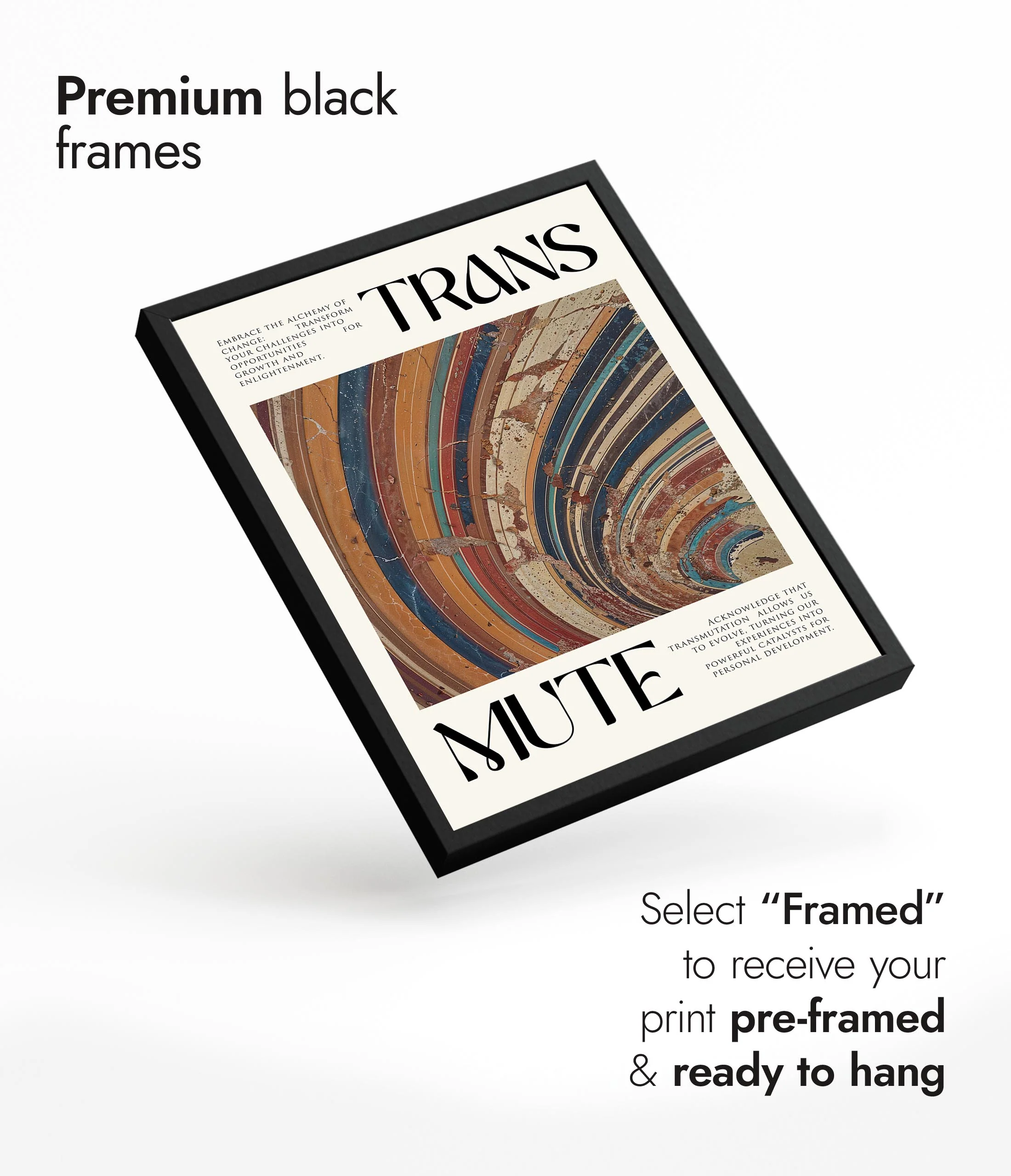 Transmute - Image 7