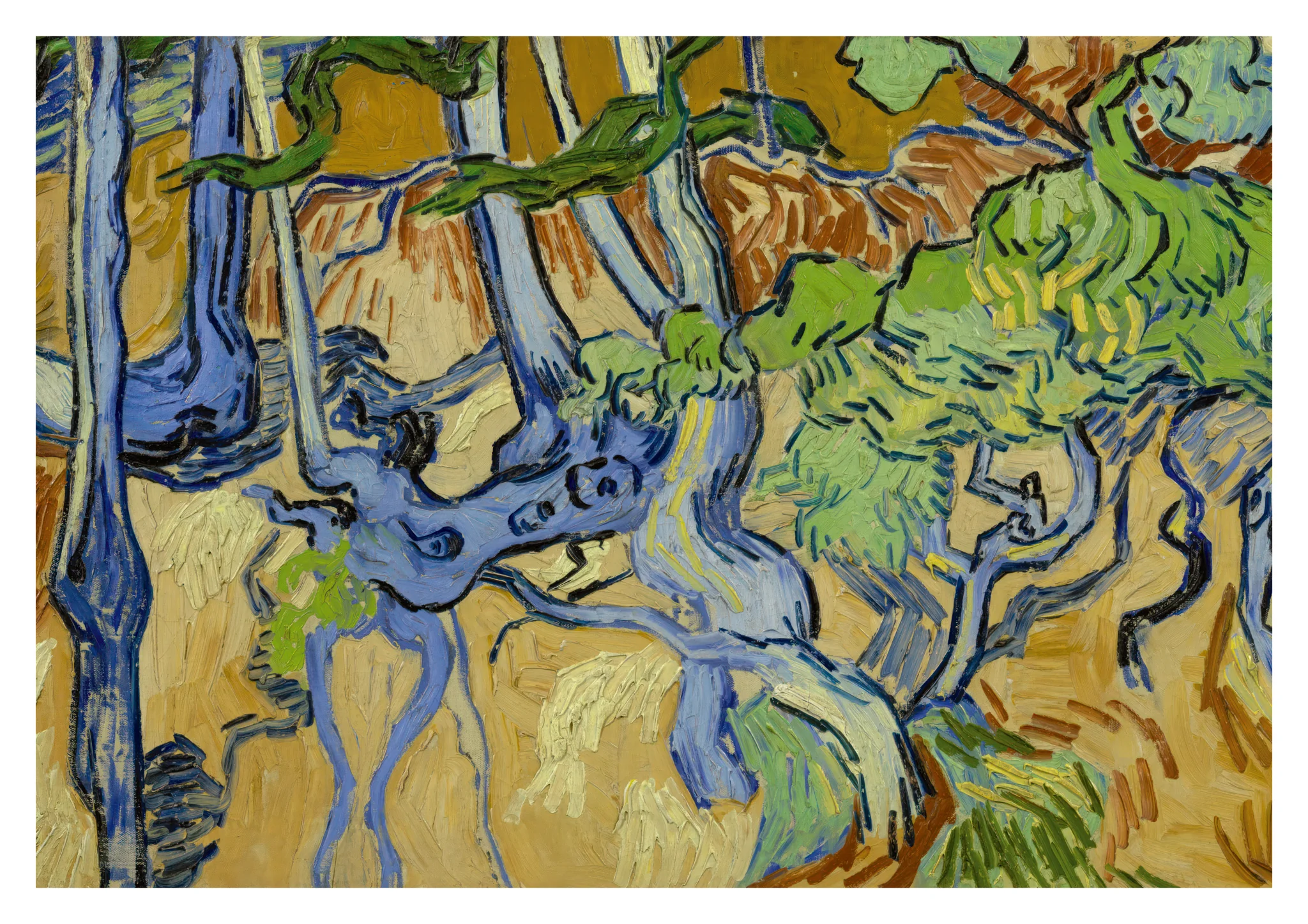 Tree Roots