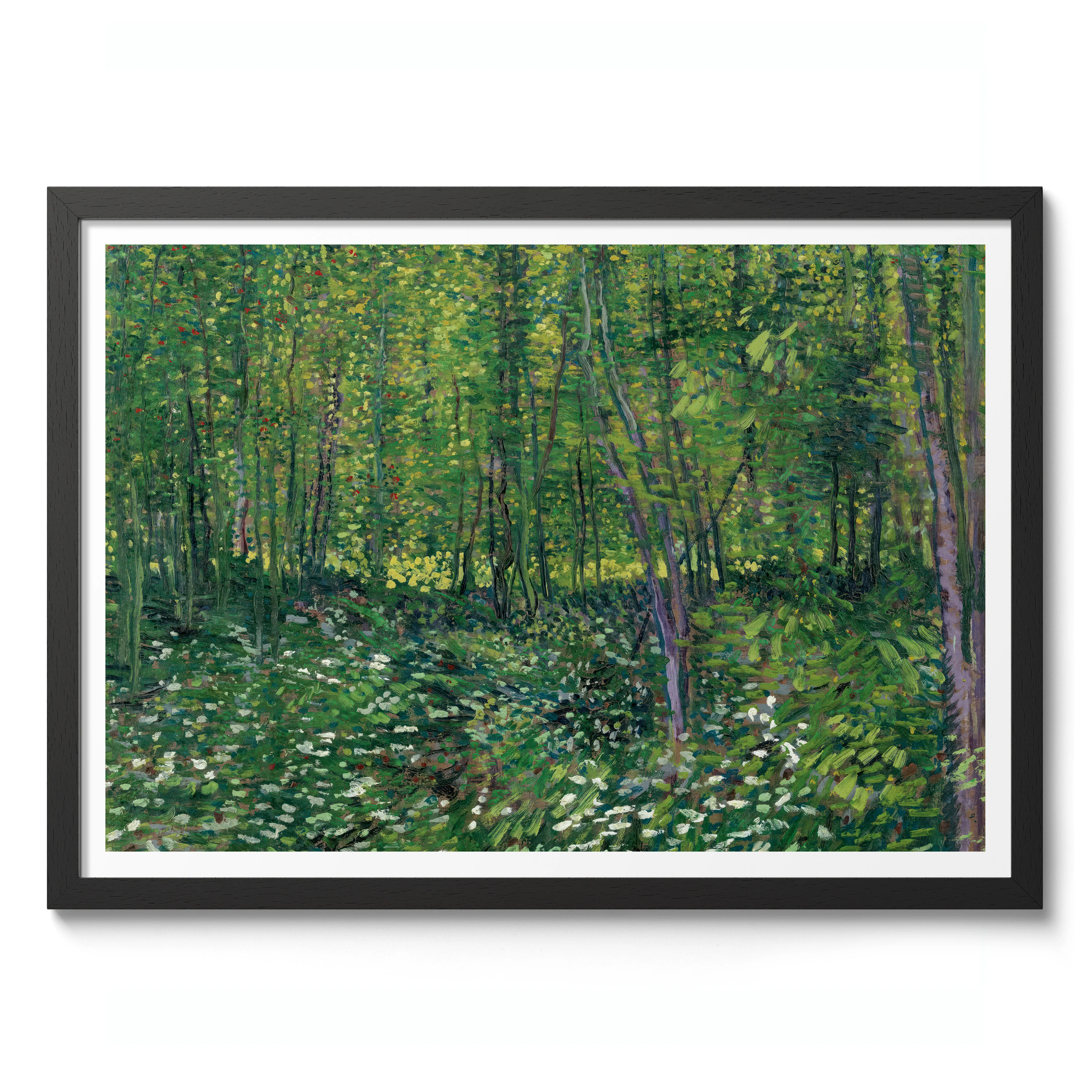 Trees & Undergrowth - Image 2