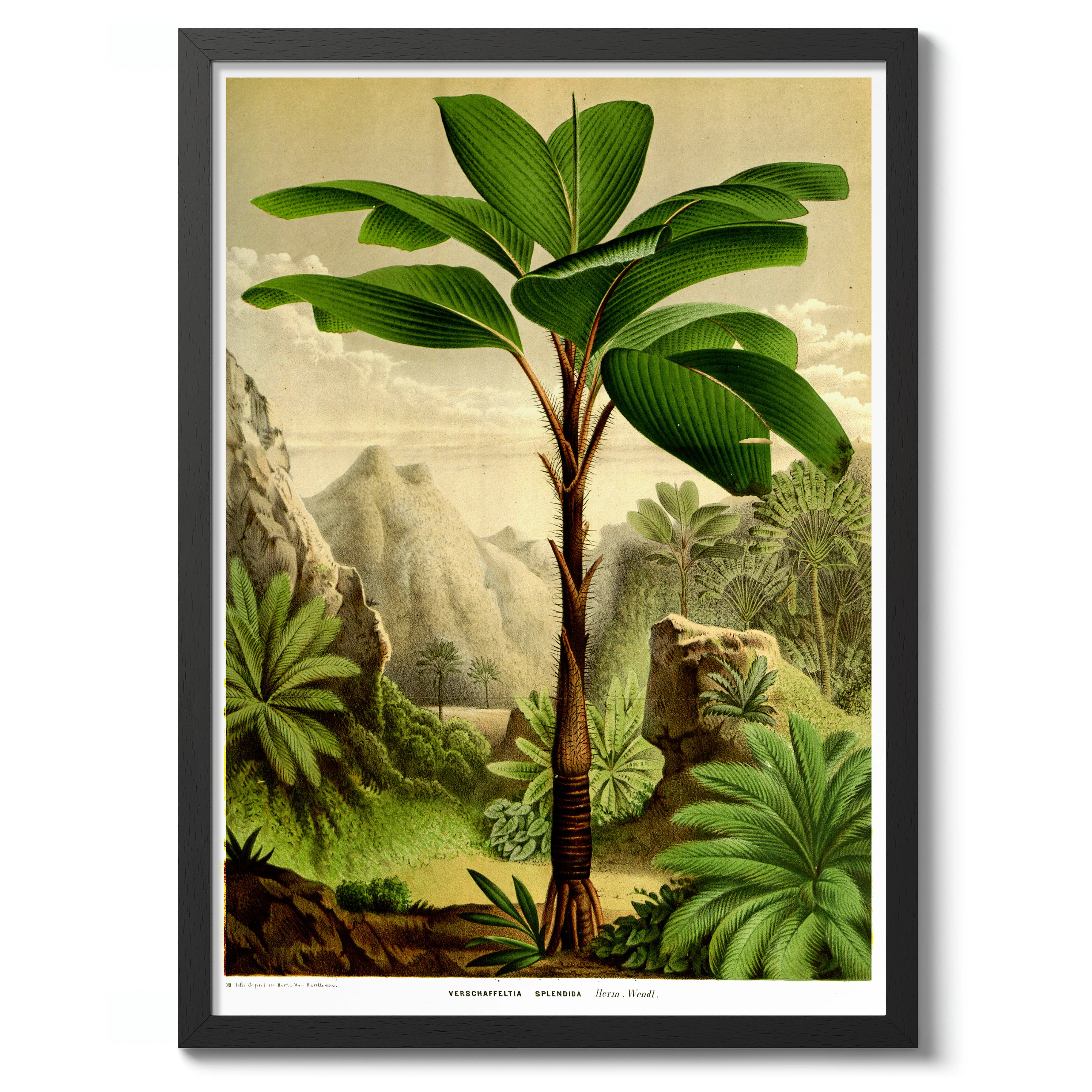 Tropical Tree - Image 2