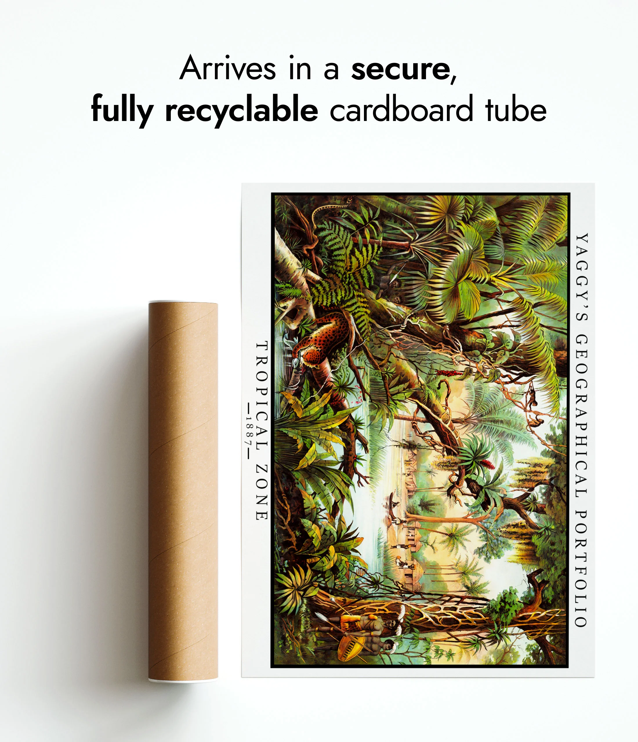 Tropical Zone - Image 9