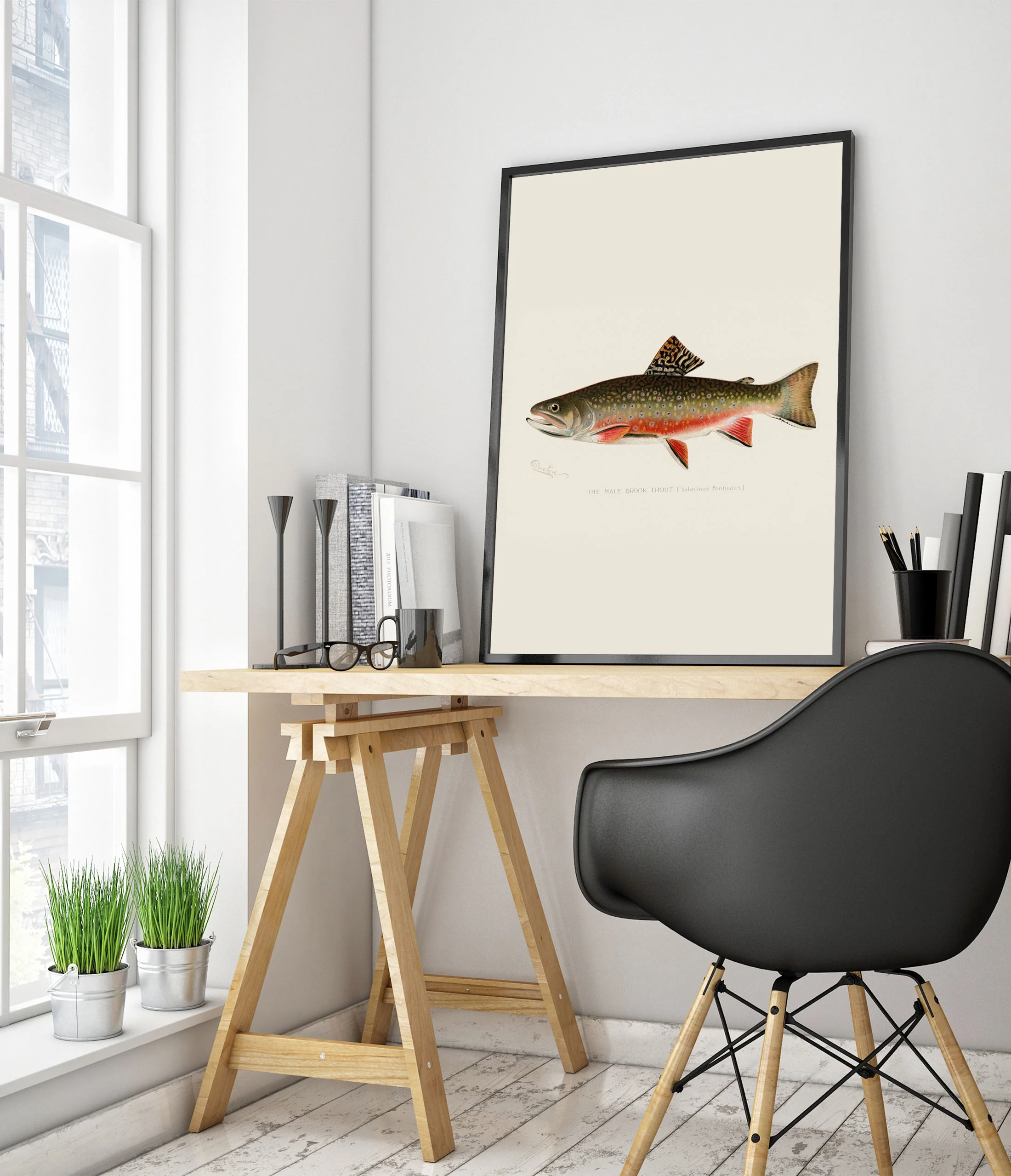 Brook Trout - Image 5